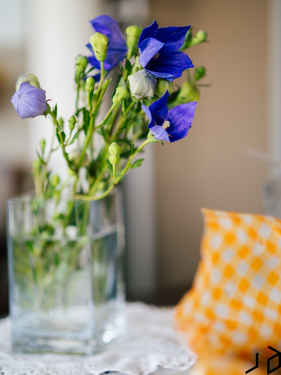 Panasonic Leica DG Nocticron 42.5mm F1.2 ASPH OIS sample photo. P photography