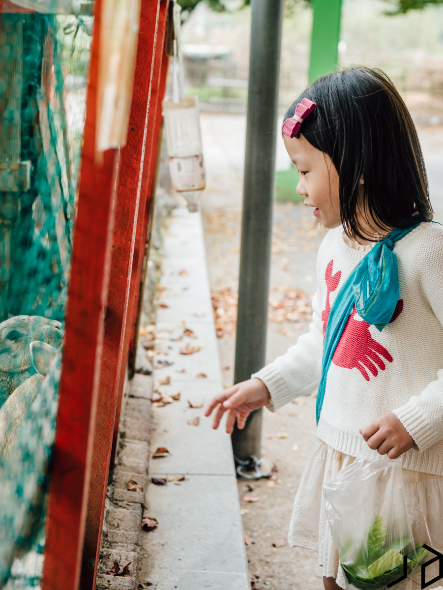 Panasonic Leica DG Nocticron 42.5mm F1.2 ASPH OIS sample photo. P photography