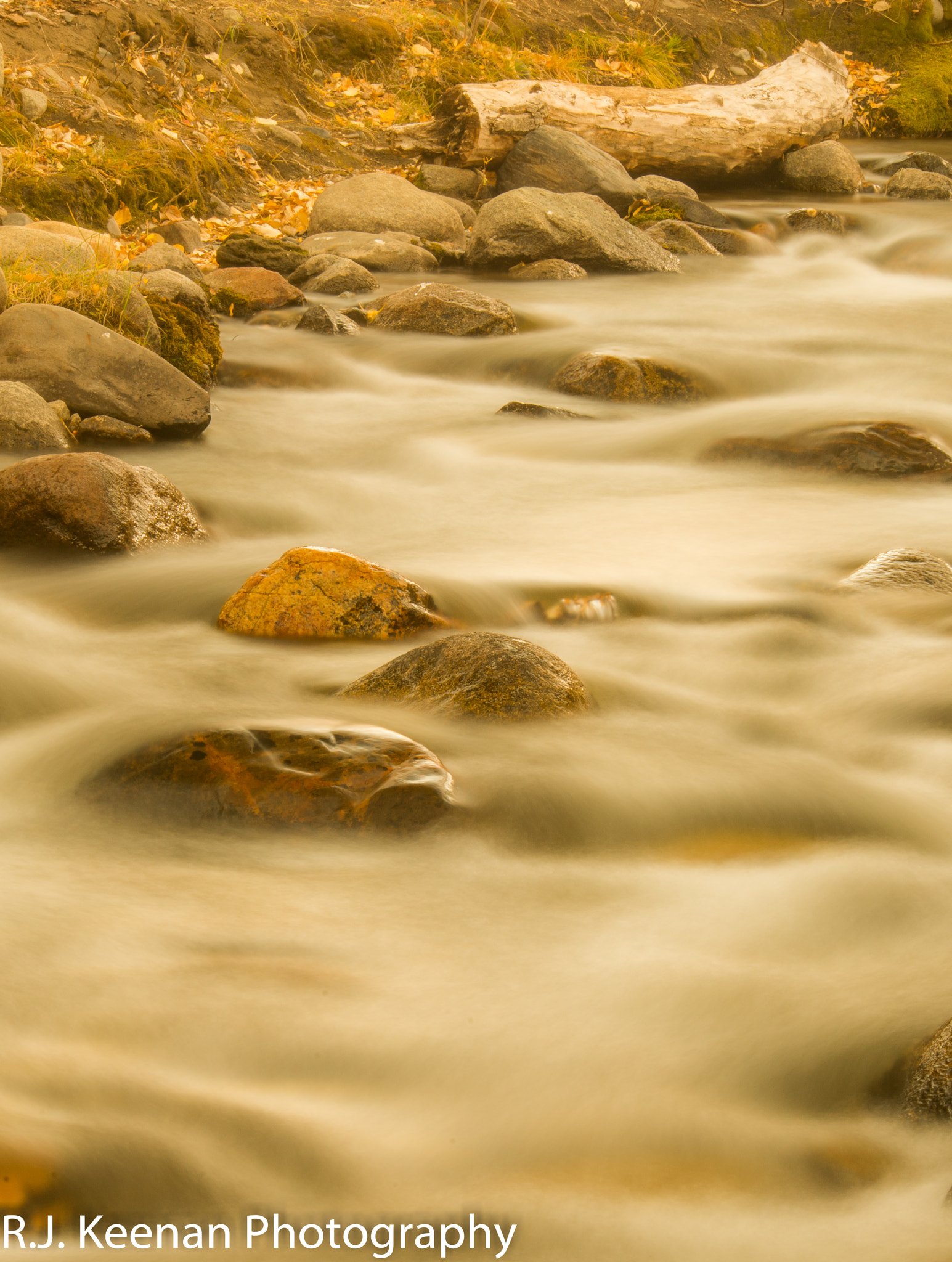 Nikon D600 sample photo. Flowing water photography
