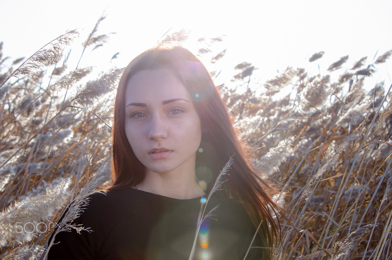 Nikon AF Nikkor 24-85mm F2.8-4D IF sample photo. Kristina photography