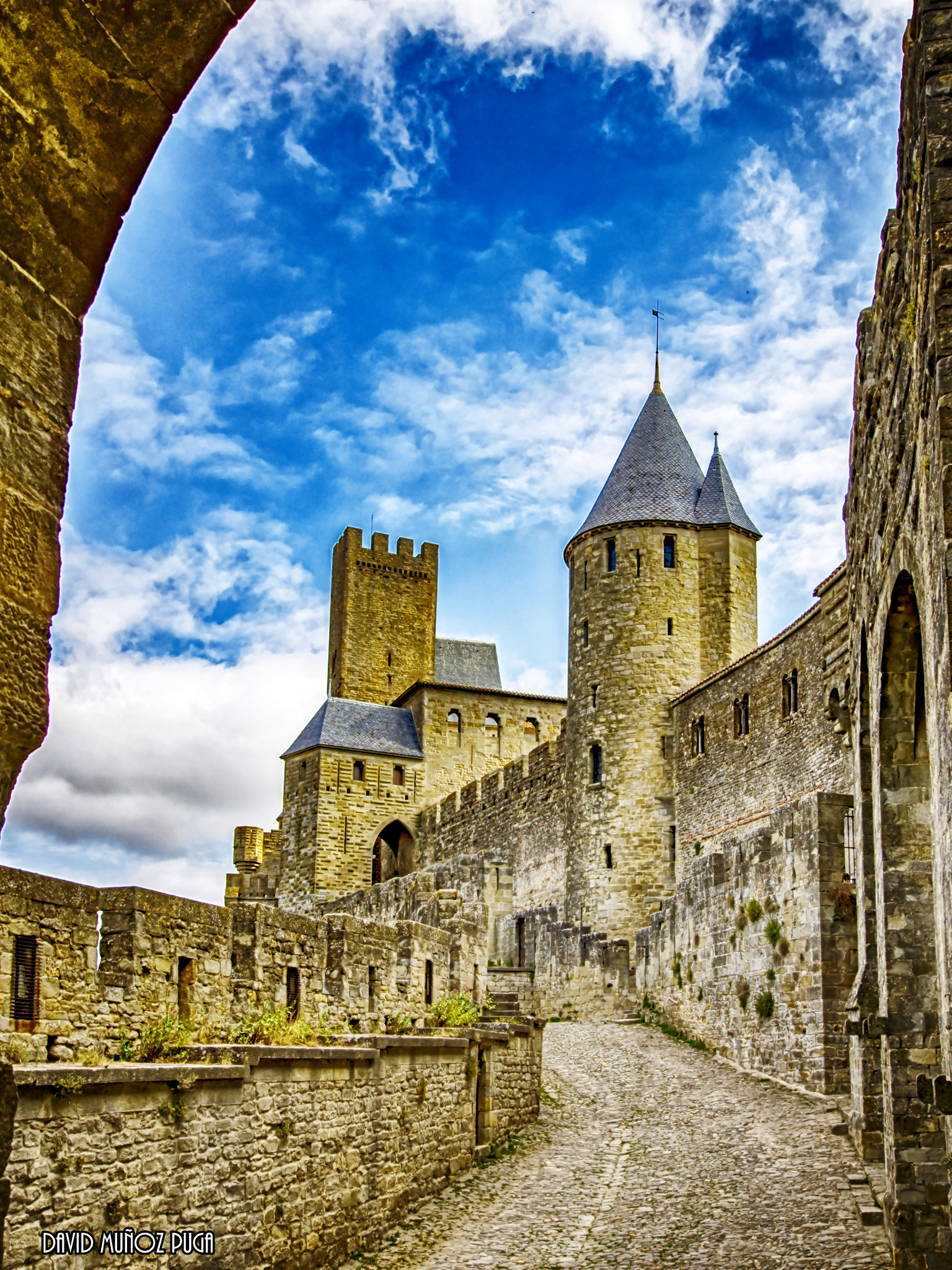 Nikon D5100 + Sigma 10-20mm F3.5 EX DC HSM sample photo. Carcassonne castle photography