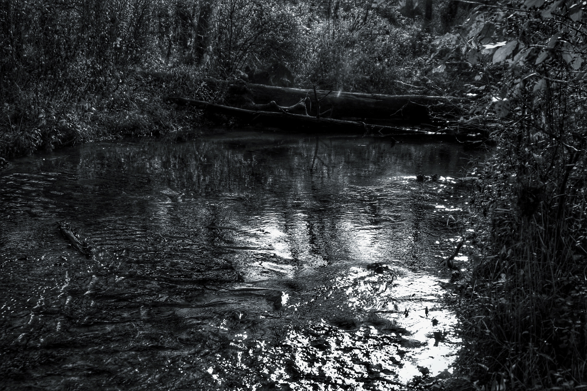 Canon EOS 1000D (EOS Digital Rebel XS / EOS Kiss F) + Tamron AF 28-200mm F3.8-5.6 XR Di Aspherical (IF) Macro sample photo. Creek at ritter springs photography