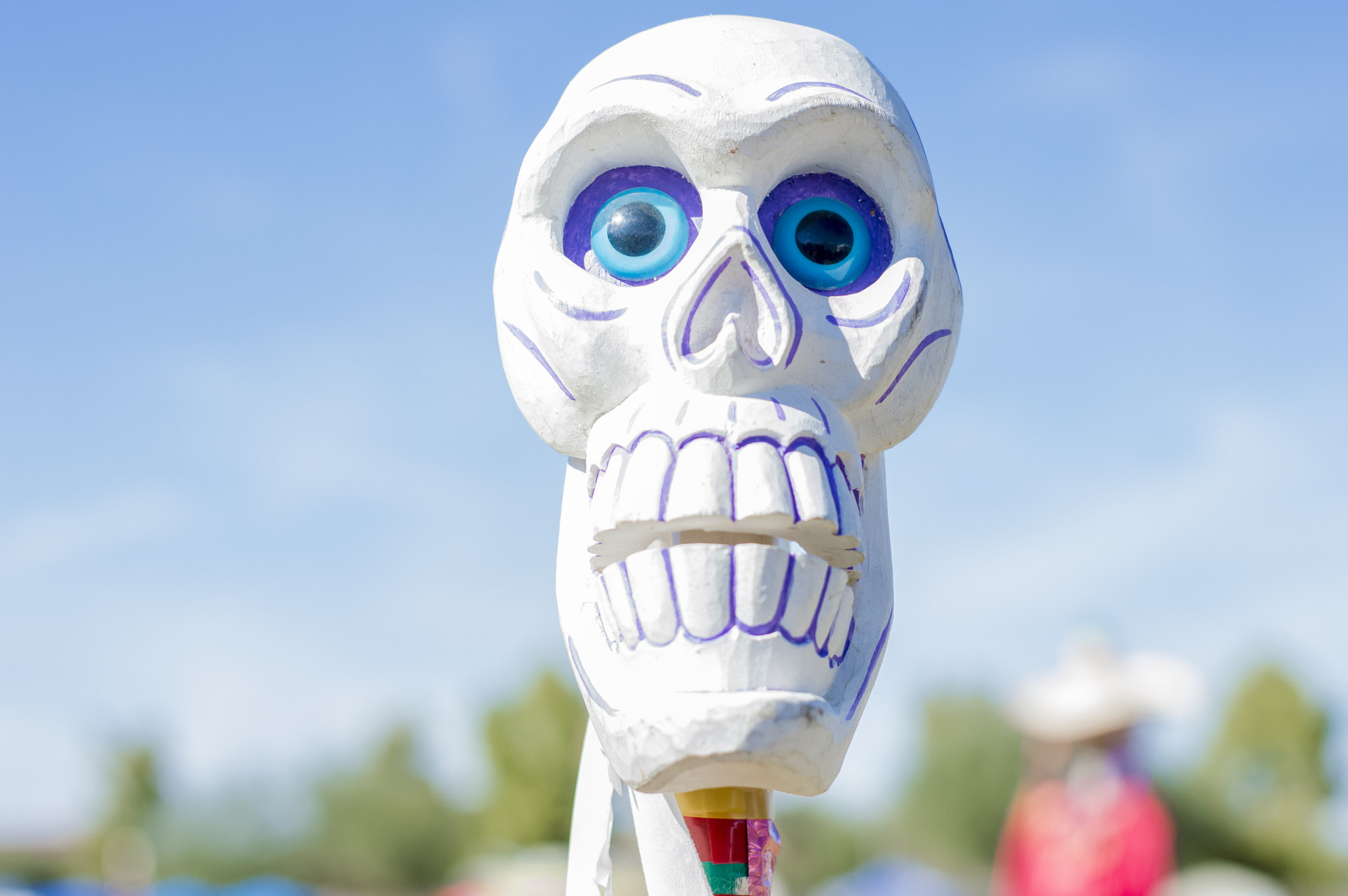 Nikon D3200 sample photo. Suger skull photography