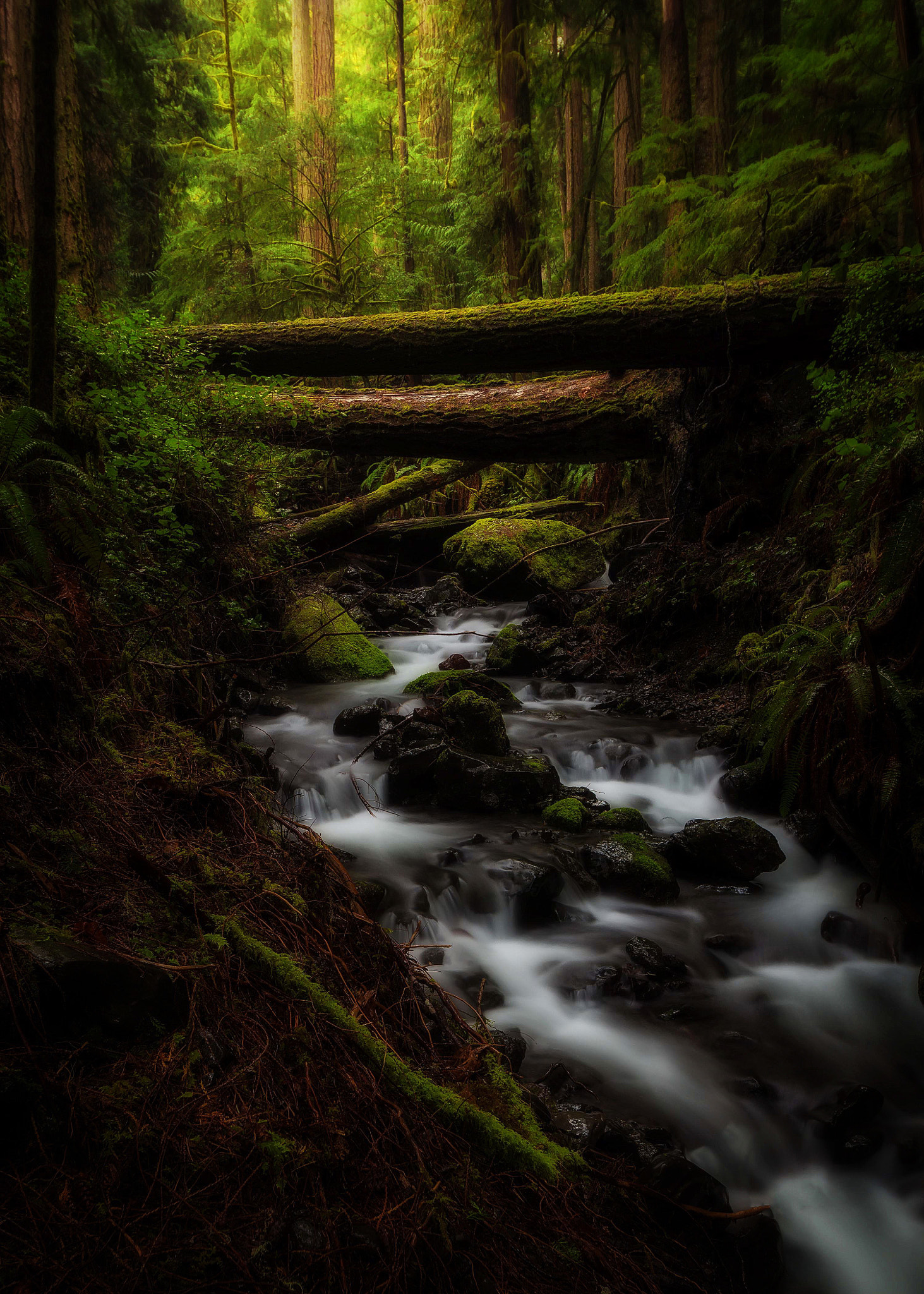 Sigma 10-20mm F3.5 EX DC HSM sample photo. Water runs through photography
