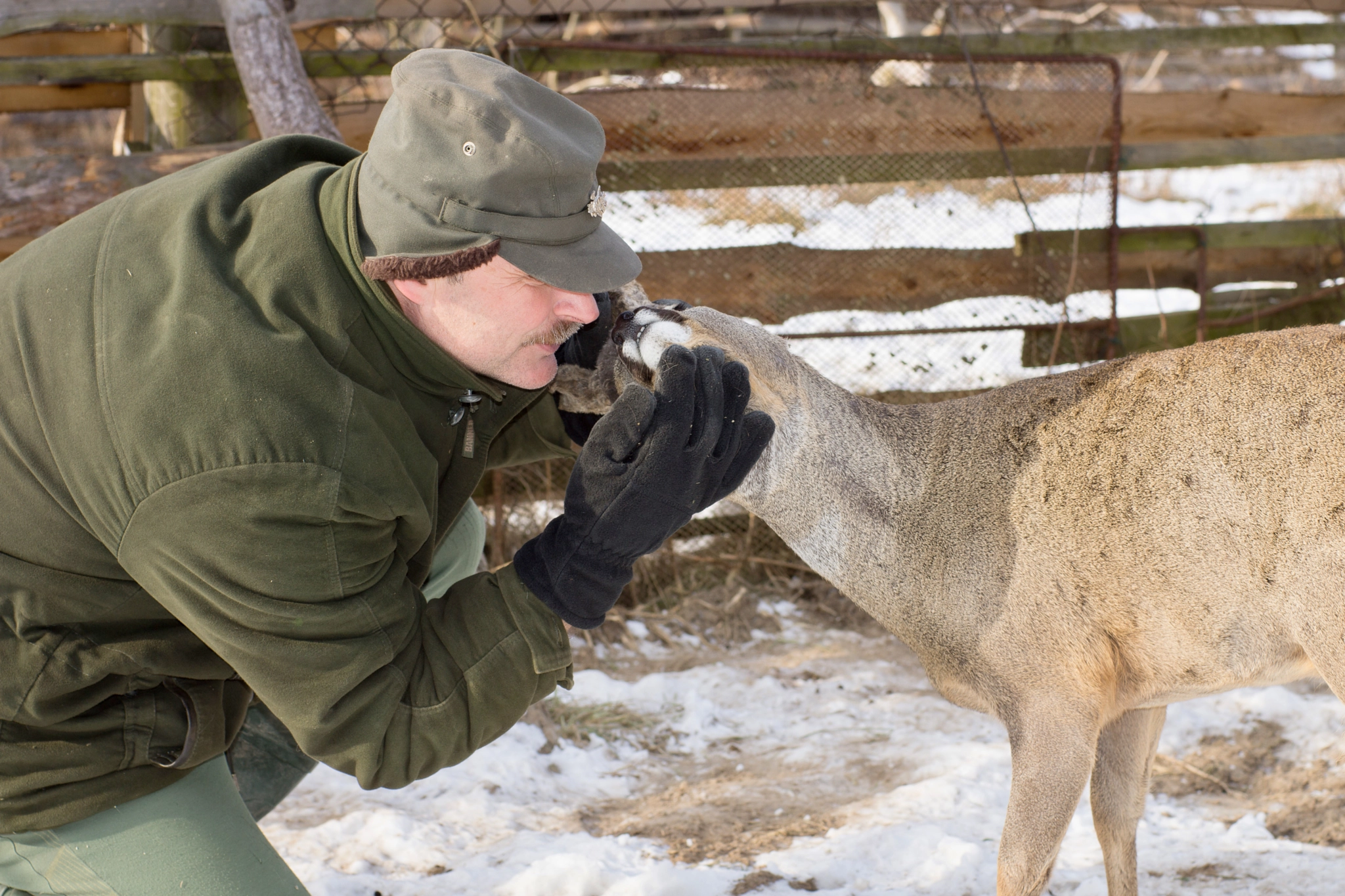 Sony 50mm F1.4 sample photo. My deer friends i. photography