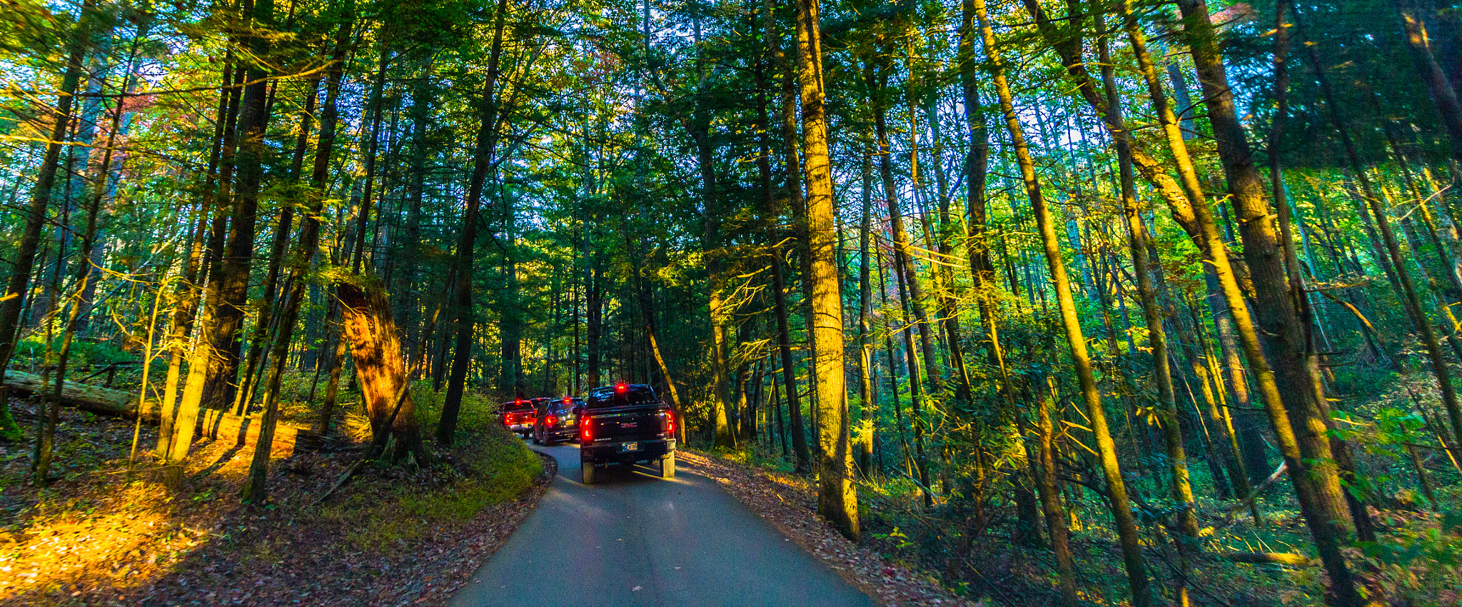 Canon EOS M sample photo. Passing through cades cove photography
