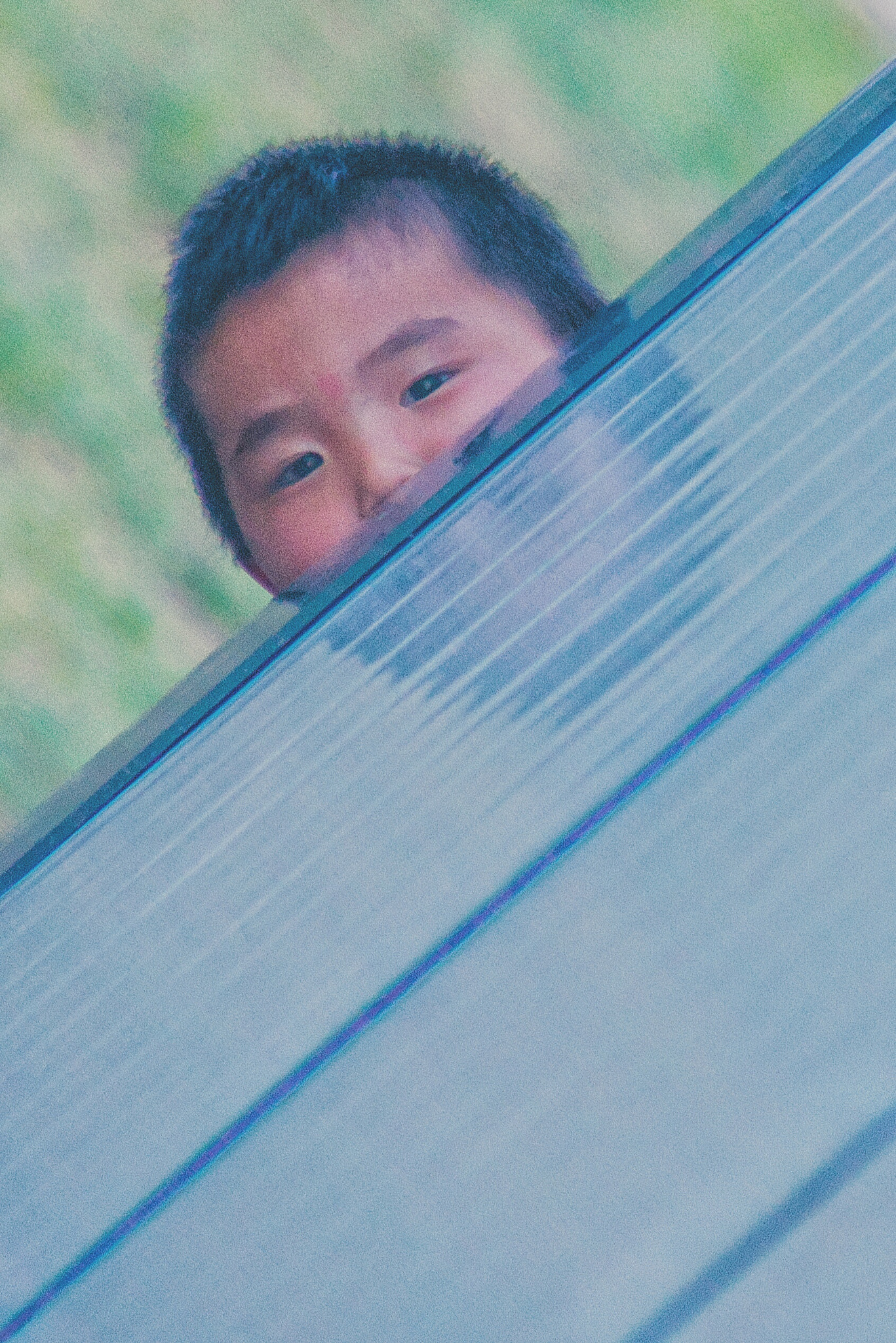 Nikon D800 sample photo