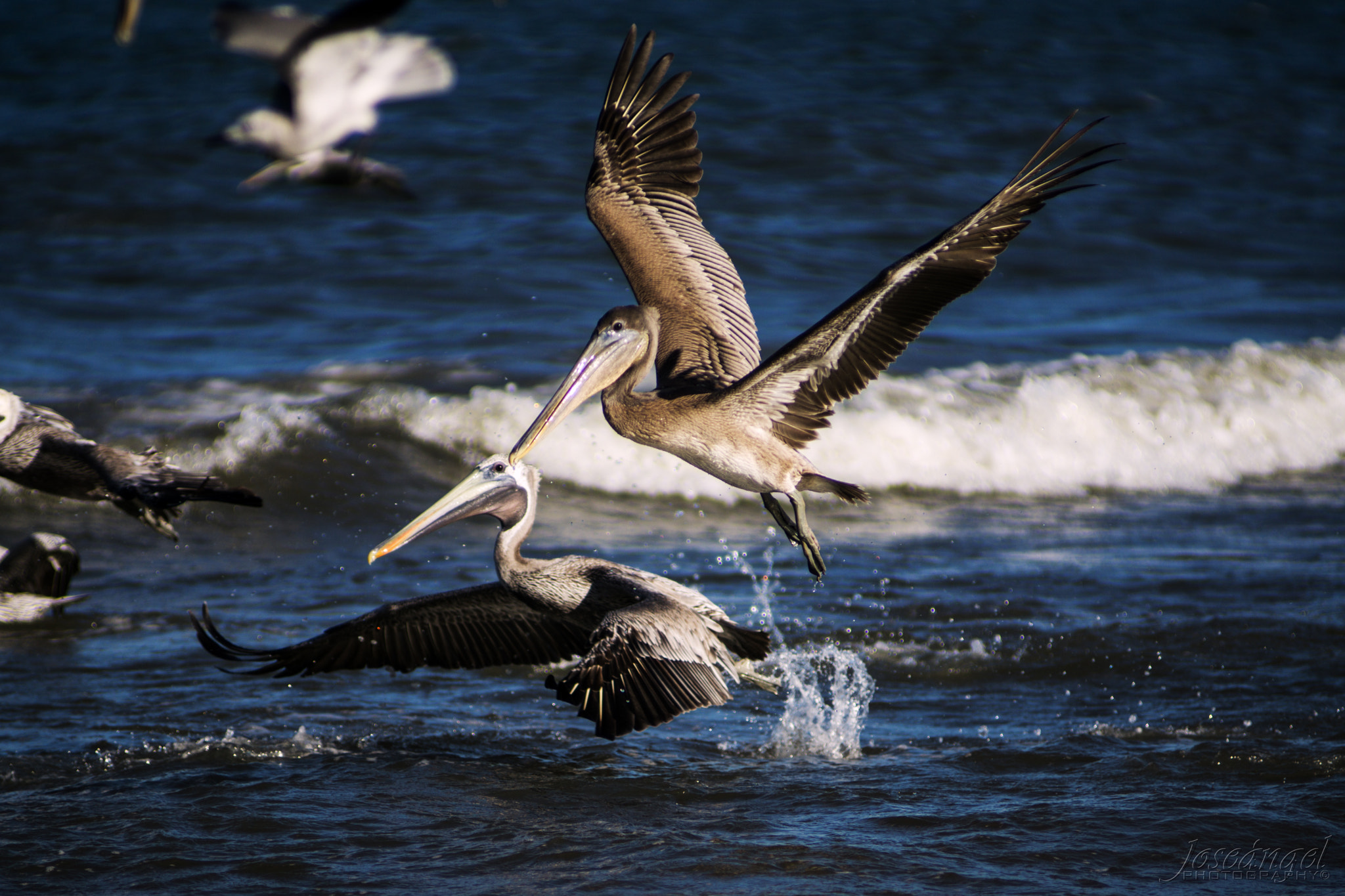 Sony a6000 + Minolta AF 80-200mm F2.8 HS-APO G sample photo. Lift-off  photography