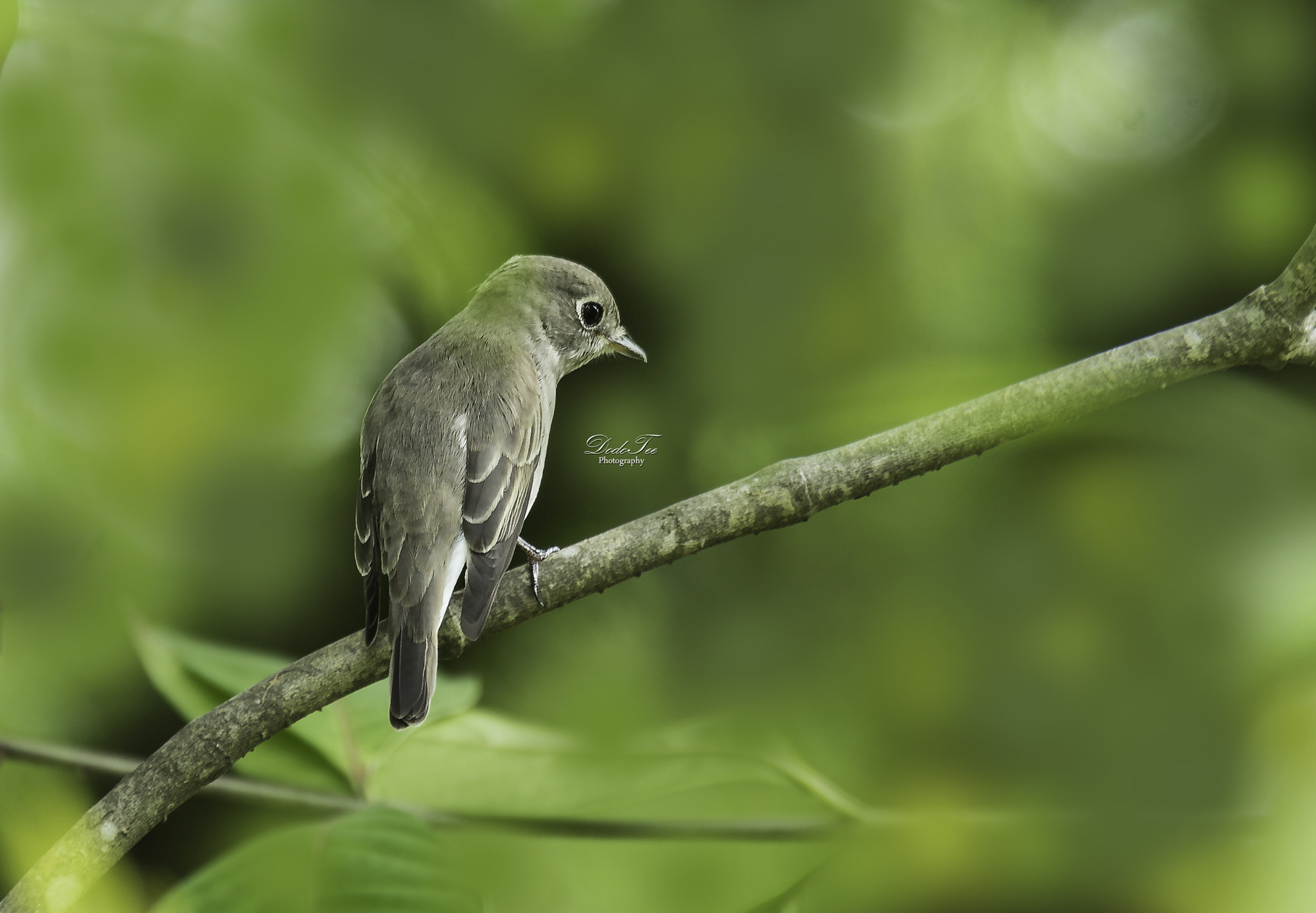 Sony 70-400mm F4-5.6 G SSM II sample photo