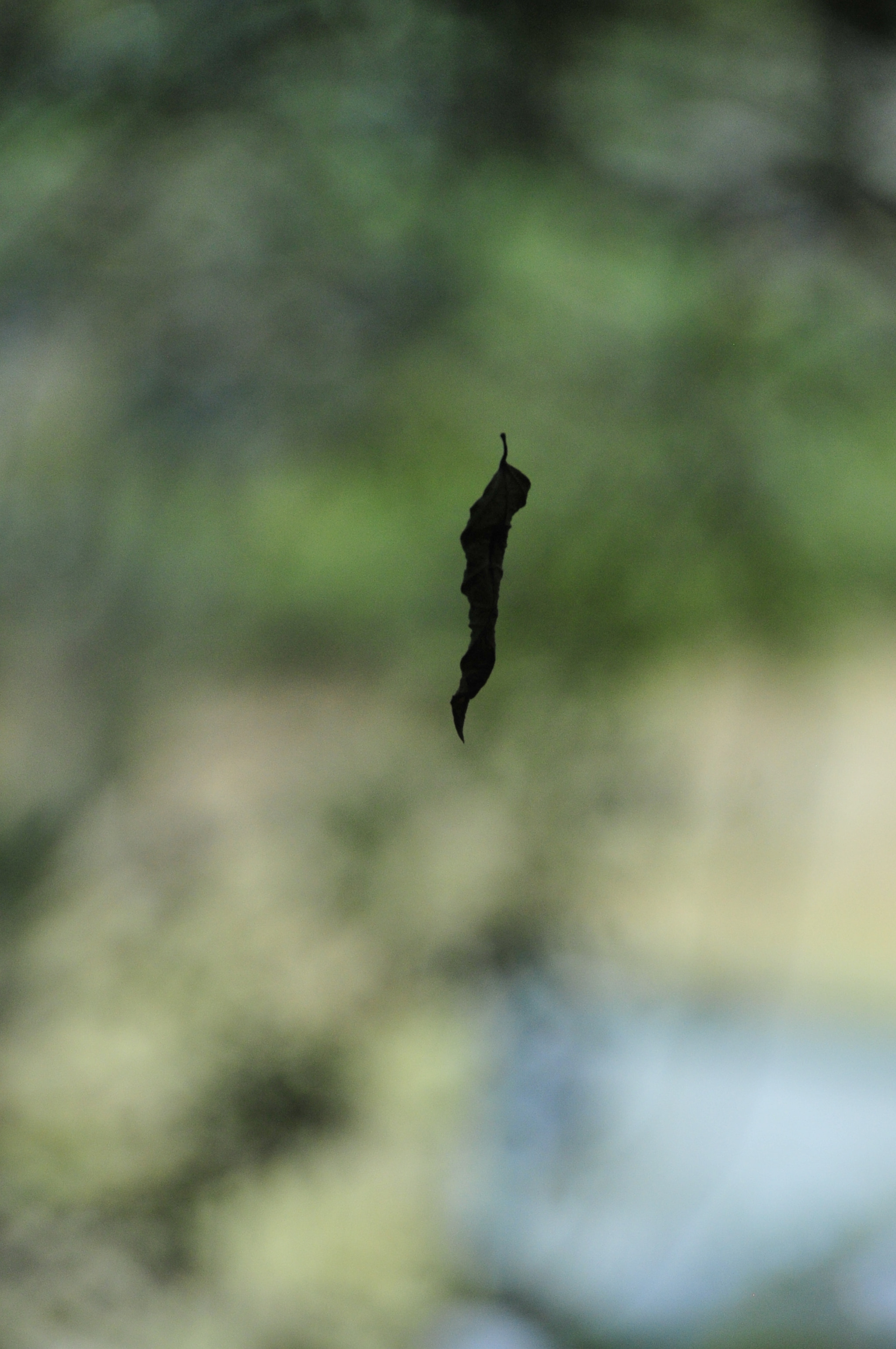Nikon D3 sample photo. .. photography