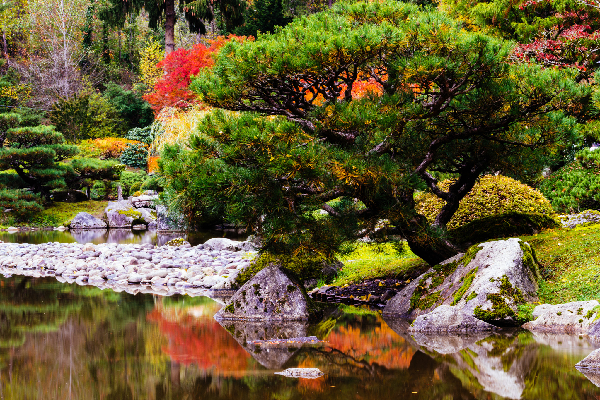 Tamron SP 70-200mm F2.8 Di VC USD sample photo. Tranquil photography