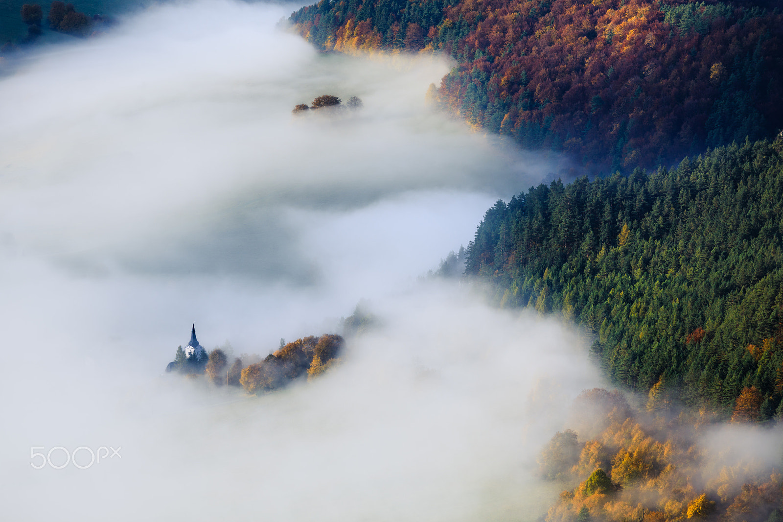 Canon EF 70-200mm F2.8L USM sample photo. Foggy morning photography