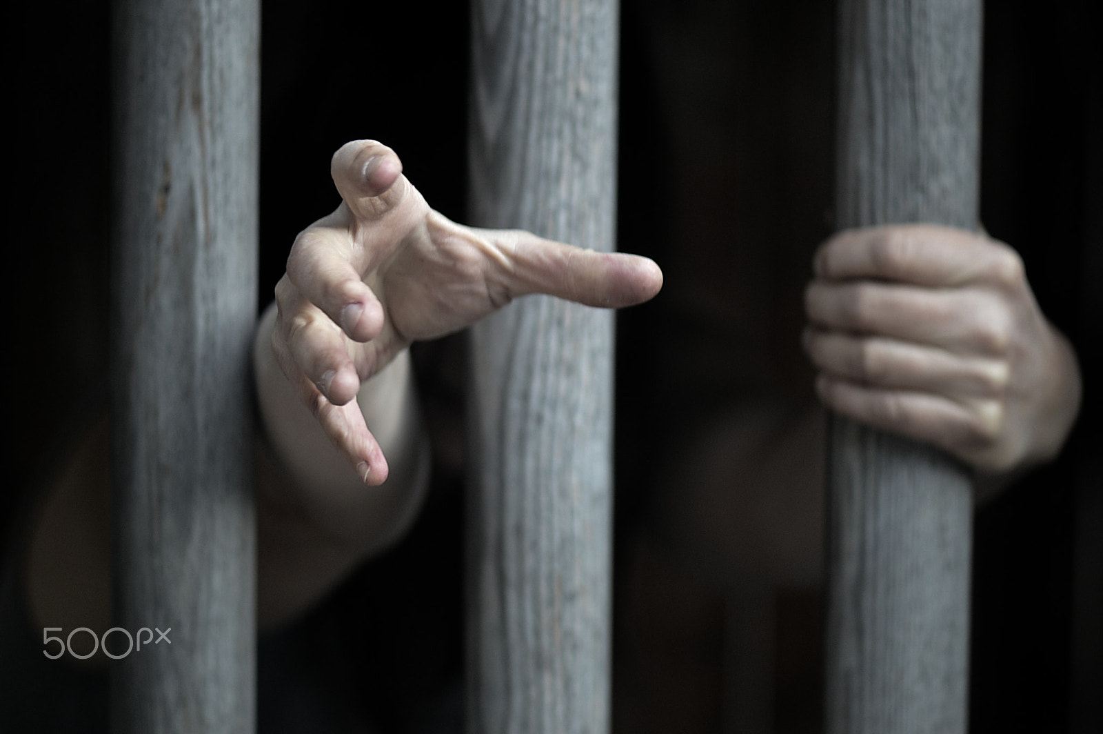 Nikon AF-S Micro-Nikkor 105mm F2.8G IF-ED VR sample photo. Prisoner behind wooden bars photography