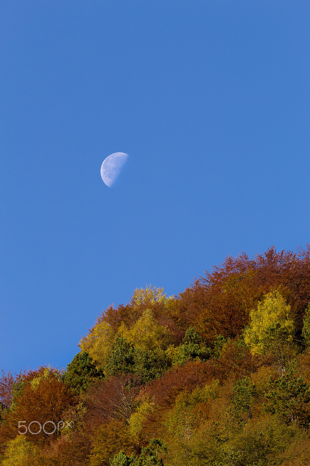 Canon EOS 700D (EOS Rebel T5i / EOS Kiss X7i) + Canon EF 70-200mm F4L USM sample photo. Moon of october photography