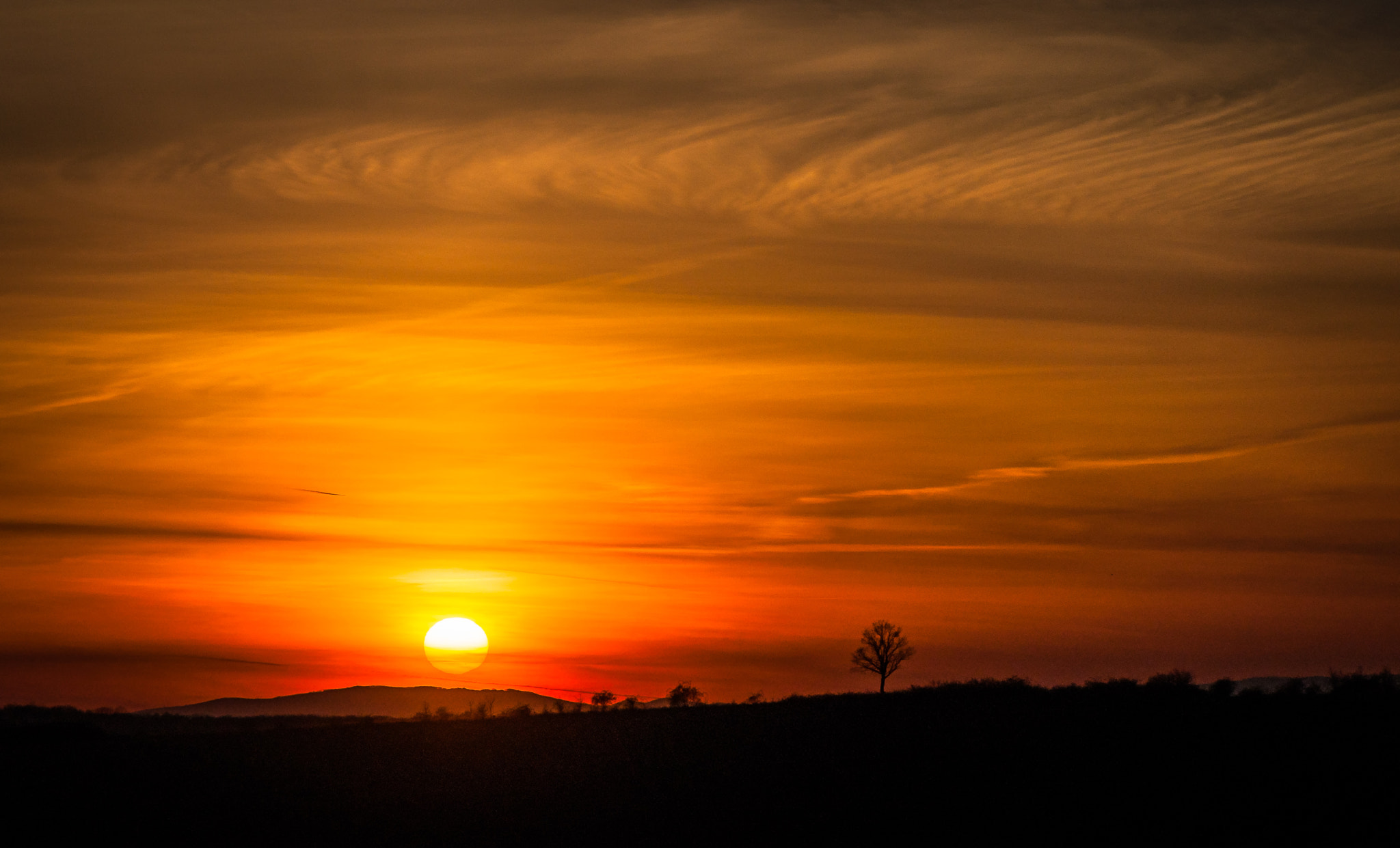 Nikon AF-S Micro-Nikkor 105mm F2.8G IF-ED VR sample photo. Sunny transcarpathia. Сонячне Закарпаття. photography