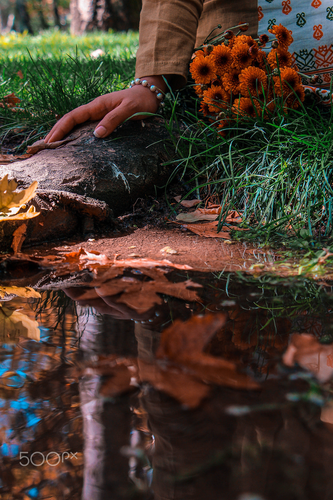 Canon EOS 700D (EOS Rebel T5i / EOS Kiss X7i) sample photo. Autumn afternoon photography