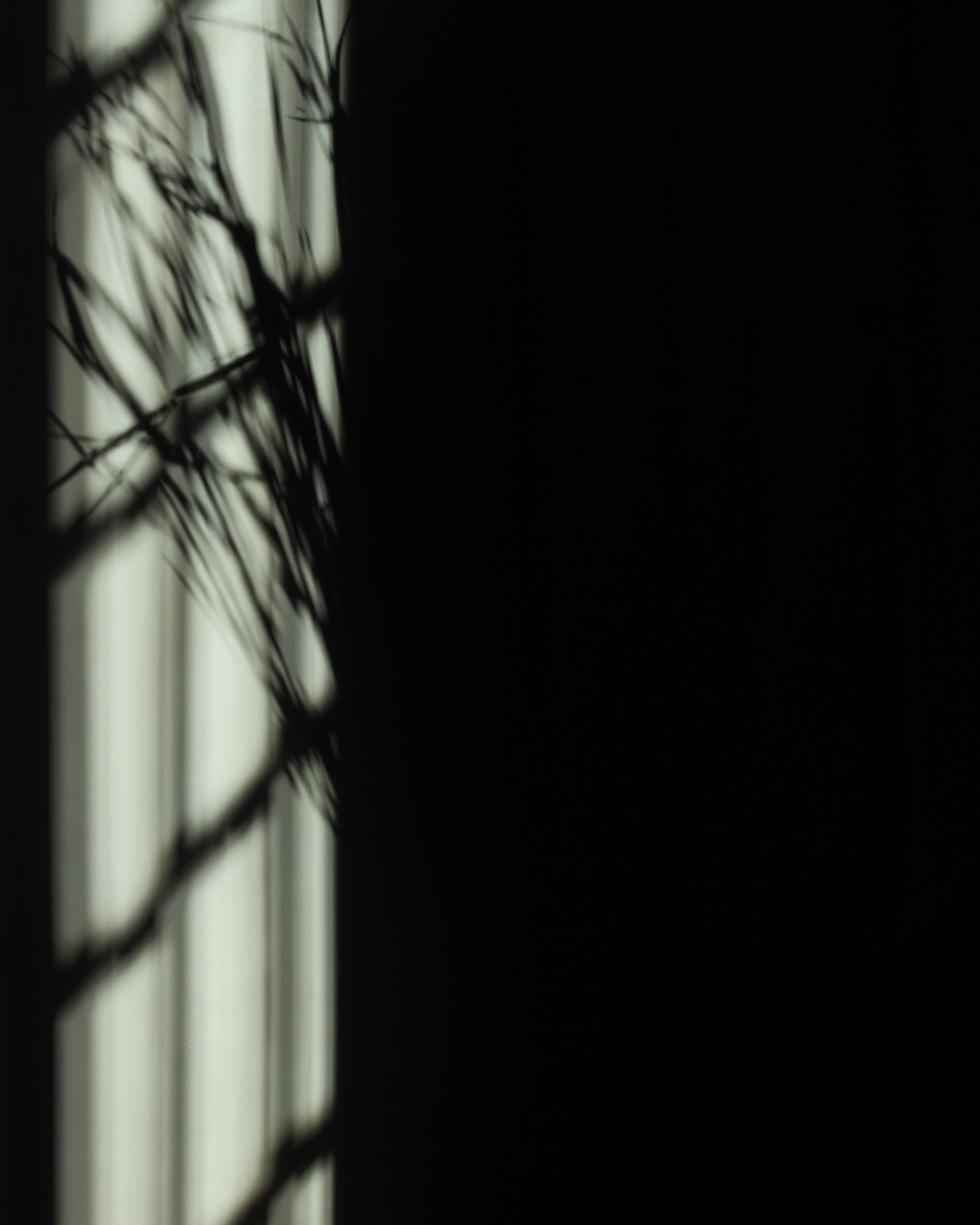 Canon EF 70-300mm F4-5.6 IS USM sample photo. Window photography