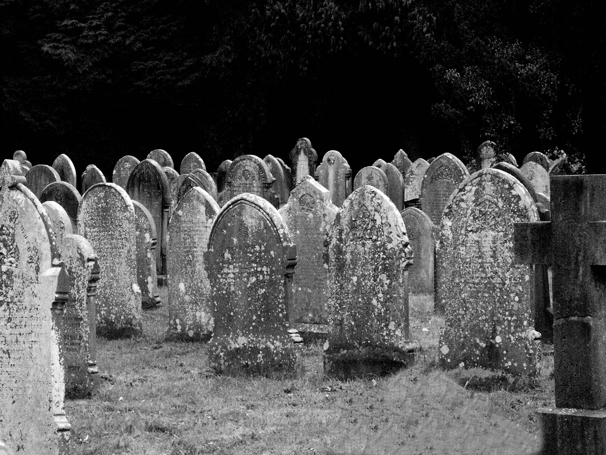 KONICA MINOLTA DiMAGE A1 sample photo. Soldiers photography