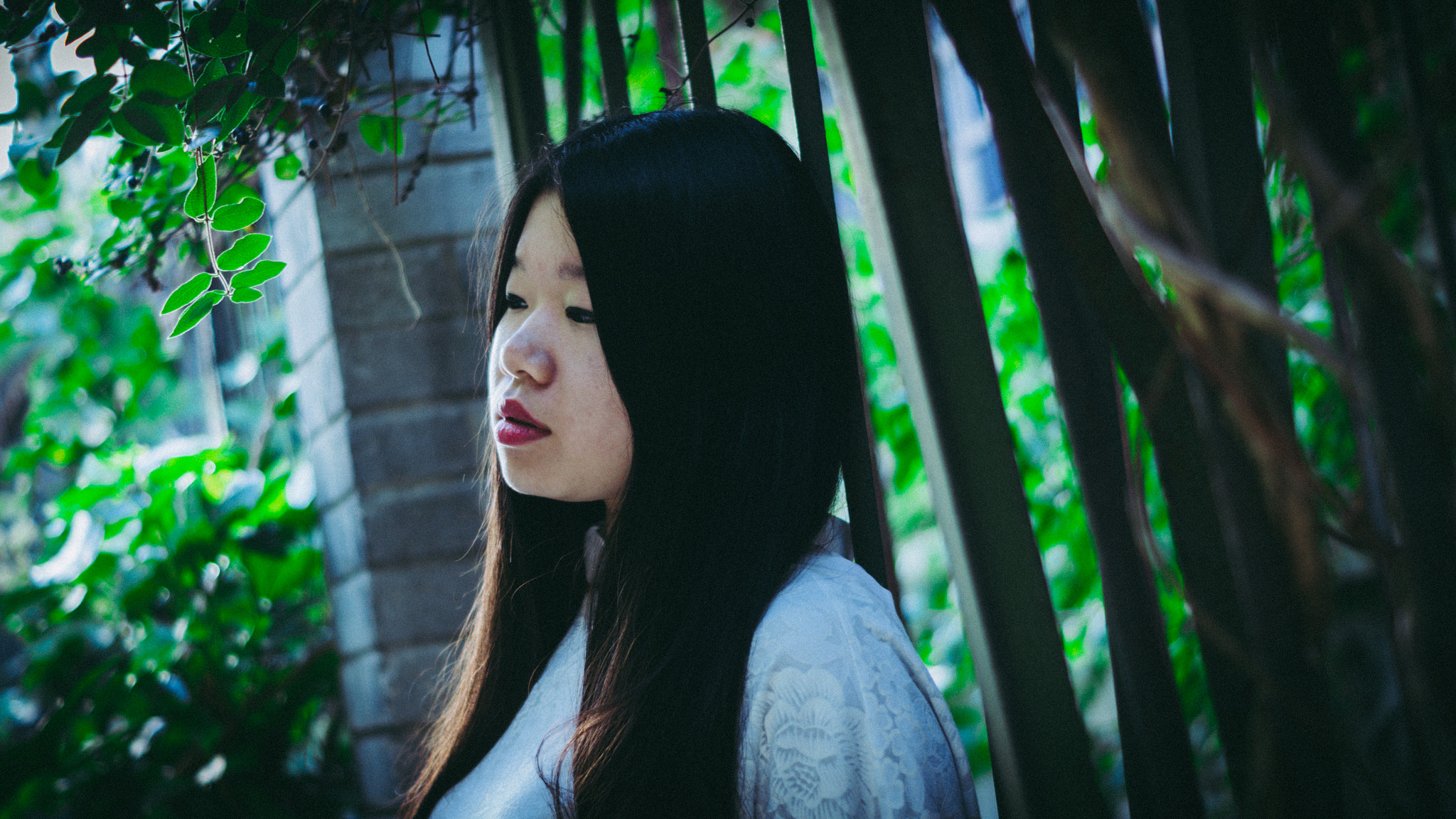 Sony ILCA-77M2 + Sony DT 50mm F1.8 SAM sample photo. Celine photography