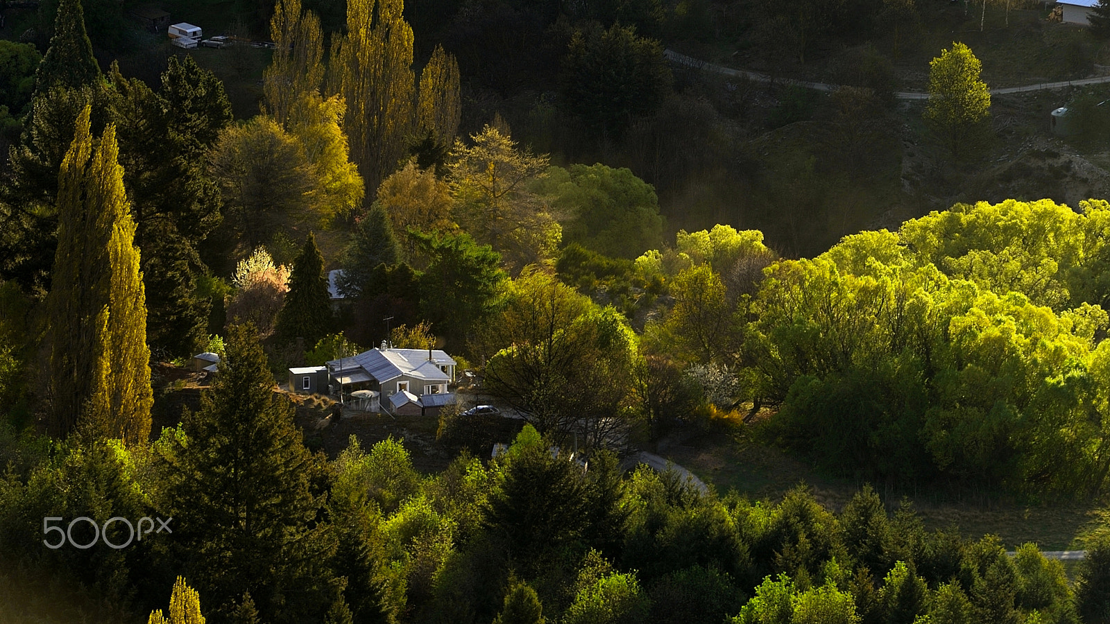 Nikon Df sample photo. Spring colors at arrowtown photography