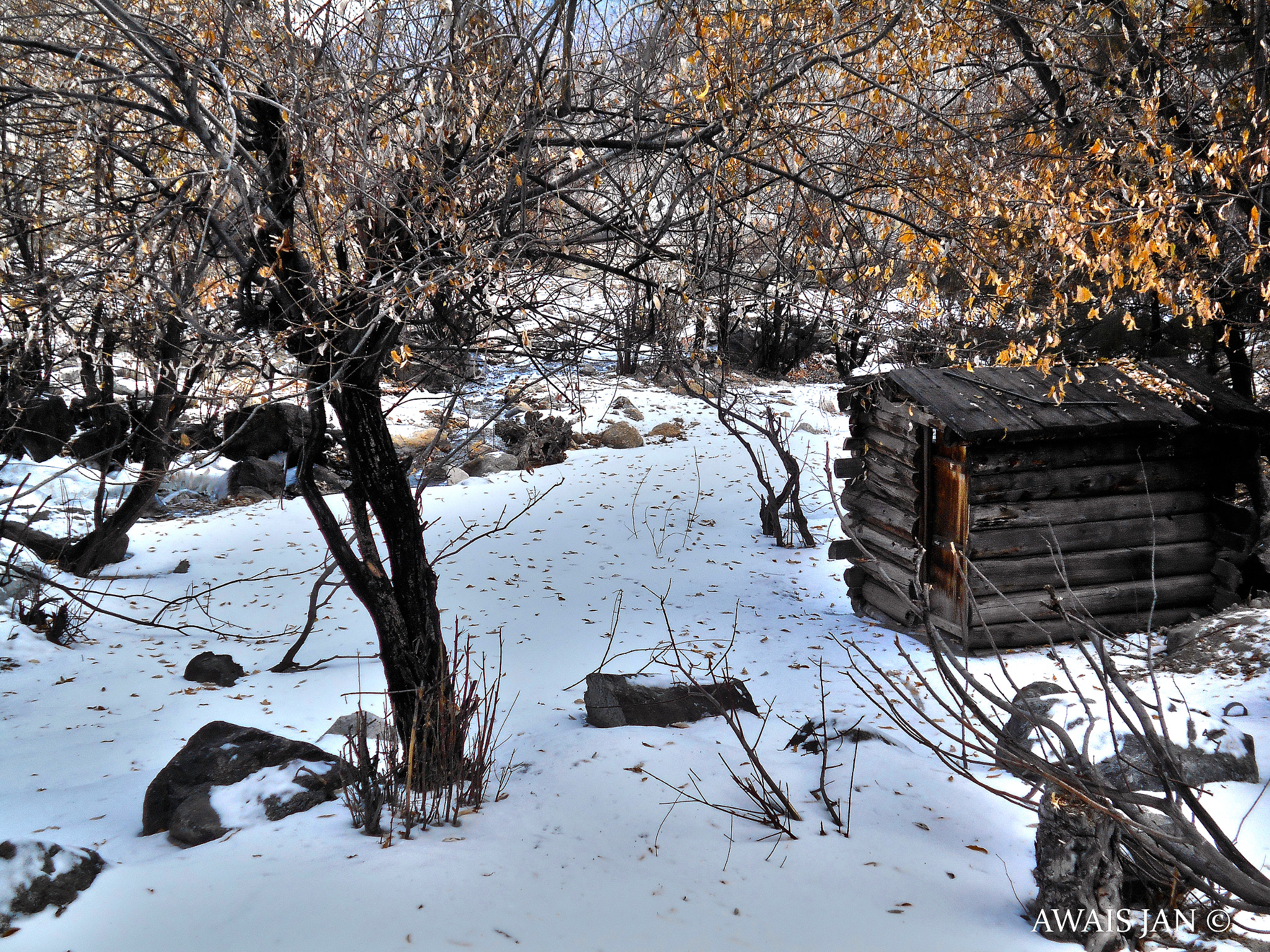 Nikon Coolpix L28 sample photo. Winter charm photography