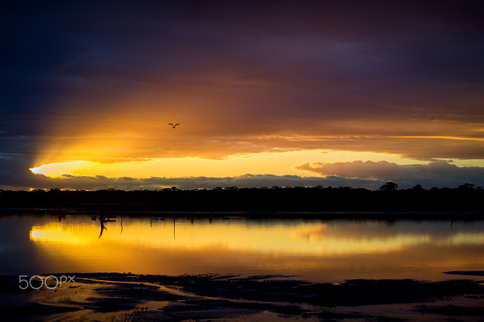 Schneider LS 80mm f/2.8 sample photo. Sunset, lambert's swamp, merbein west, victoria, australia photography