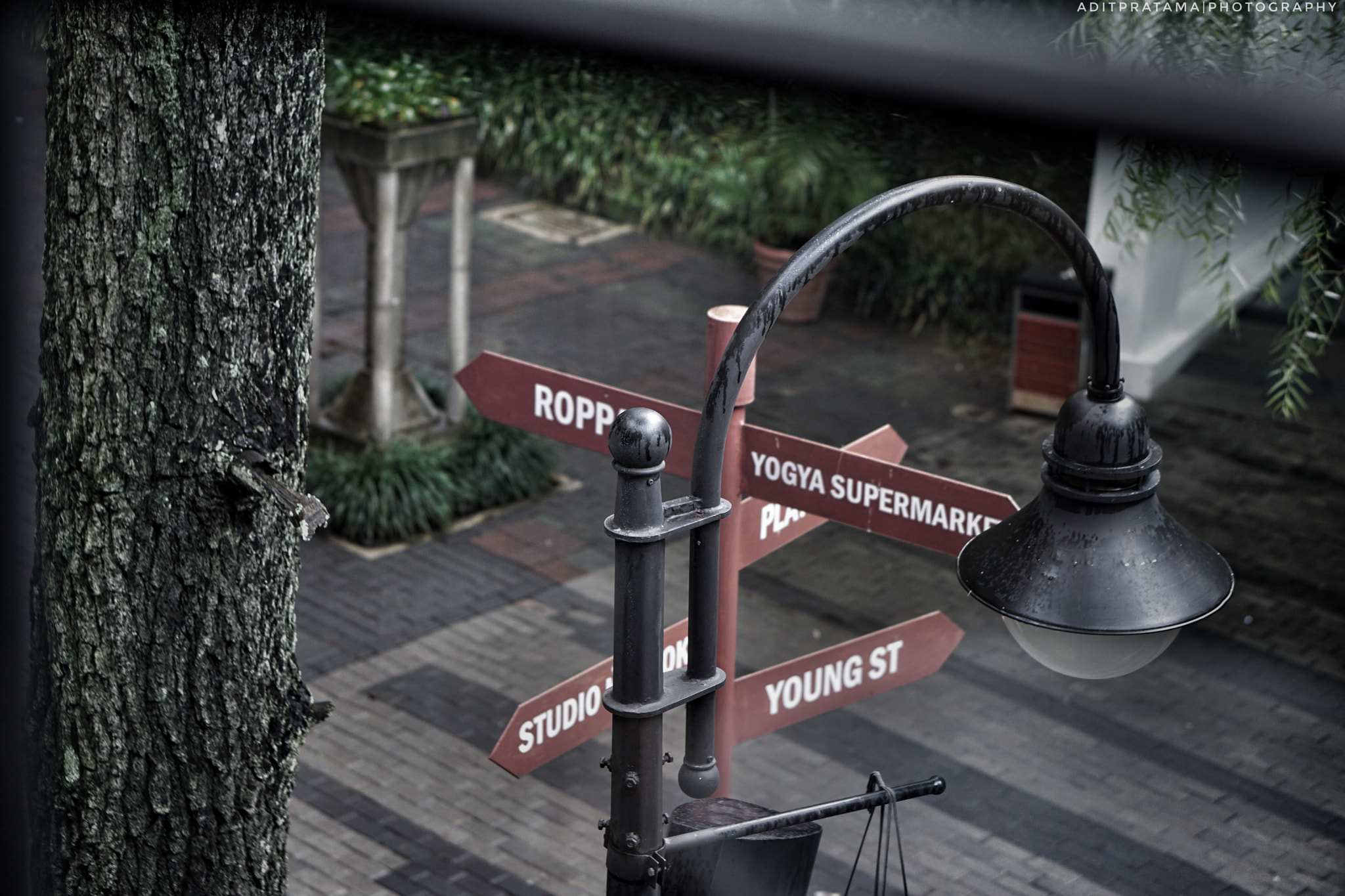 Sony E 50mm F1.8 OSS sample photo. Road signs photography