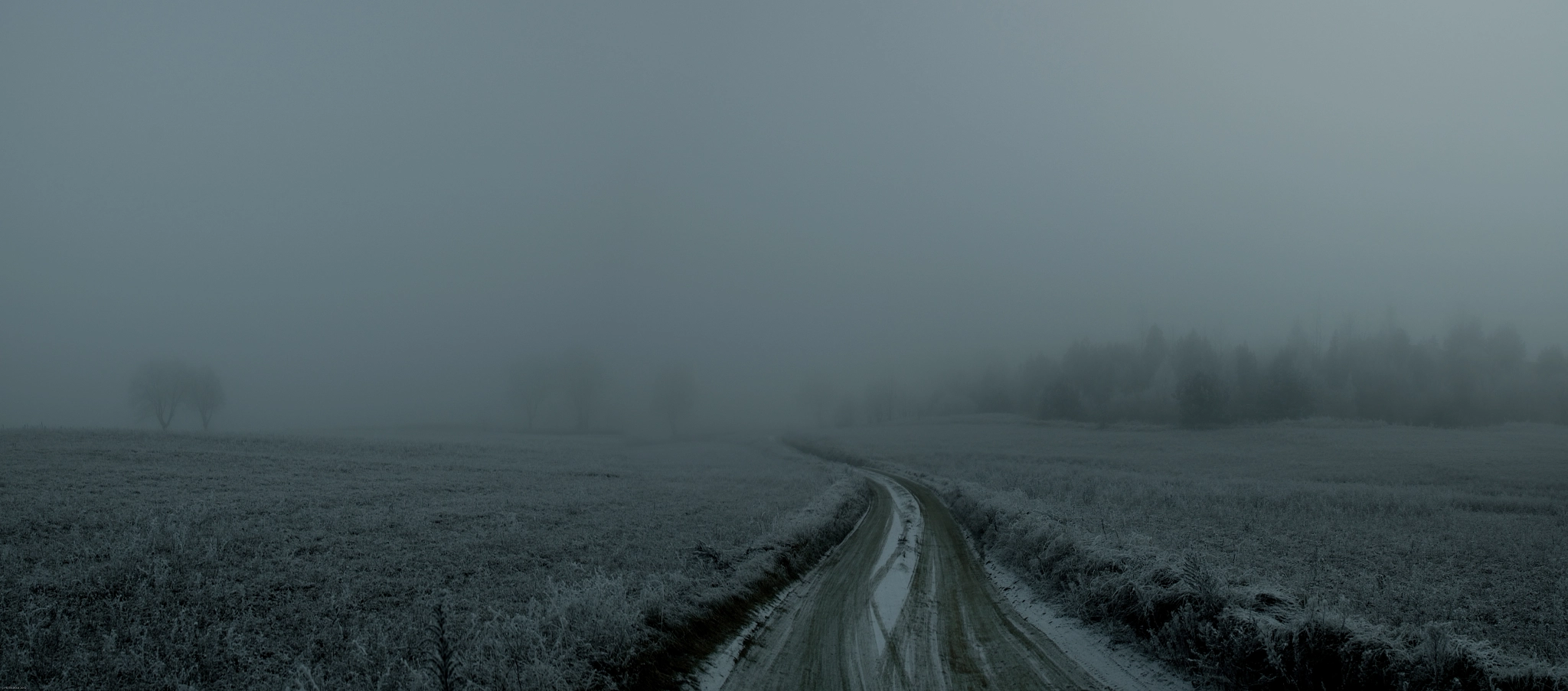 Hasselblad H4D sample photo. Road photography