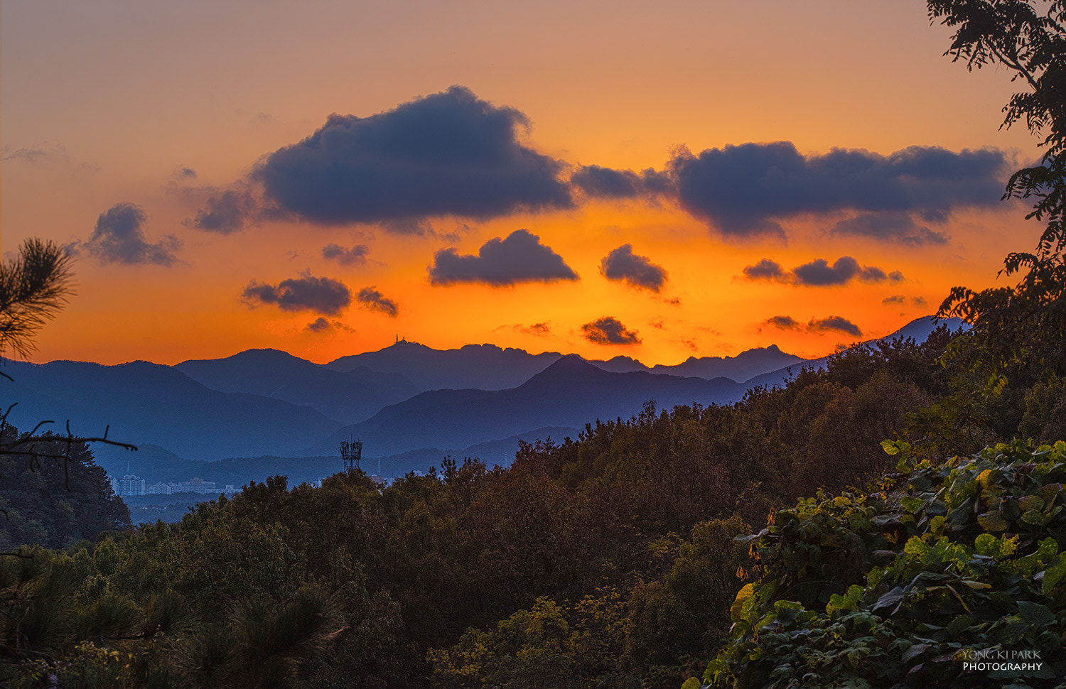 Pentax K-1 sample photo. One evening of october photography