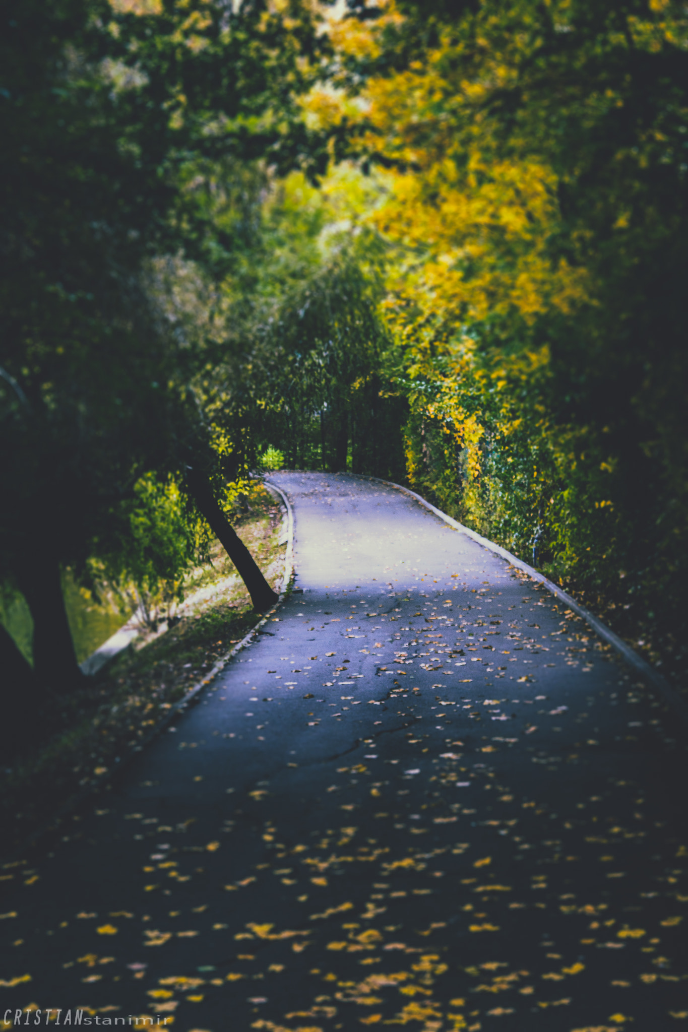Canon EF-S 17-85mm F4-5.6 IS USM sample photo. Road to nowhere photography