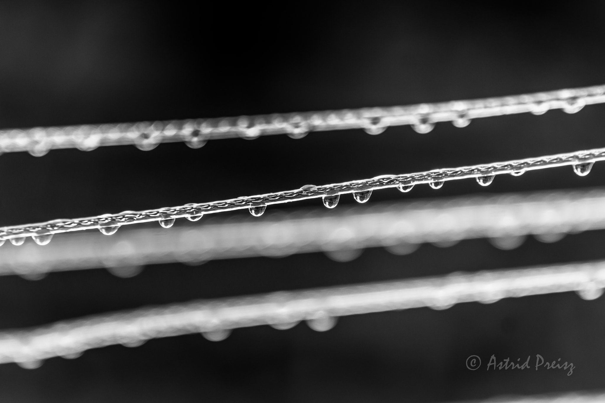 Sony FE 70-300mm F4.5-5.6 G OSS sample photo. Droplets photography