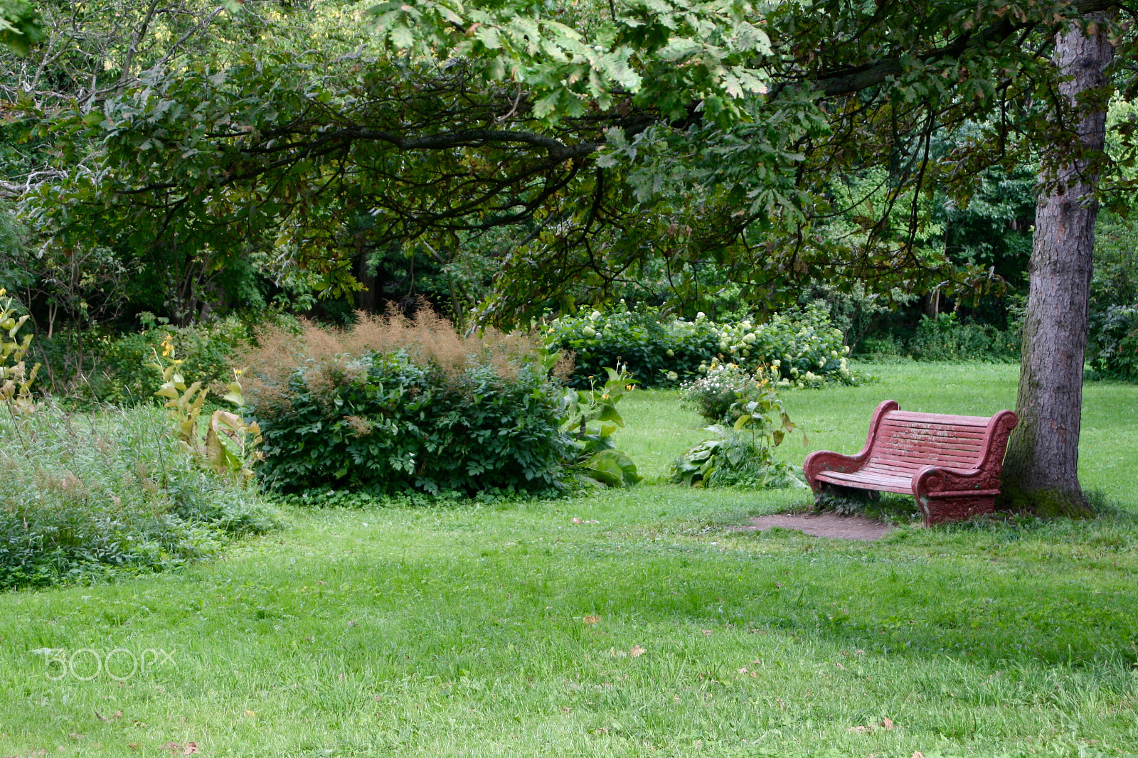 Canon EF 28-80mm f/3.5-5.6 sample photo. Img photography