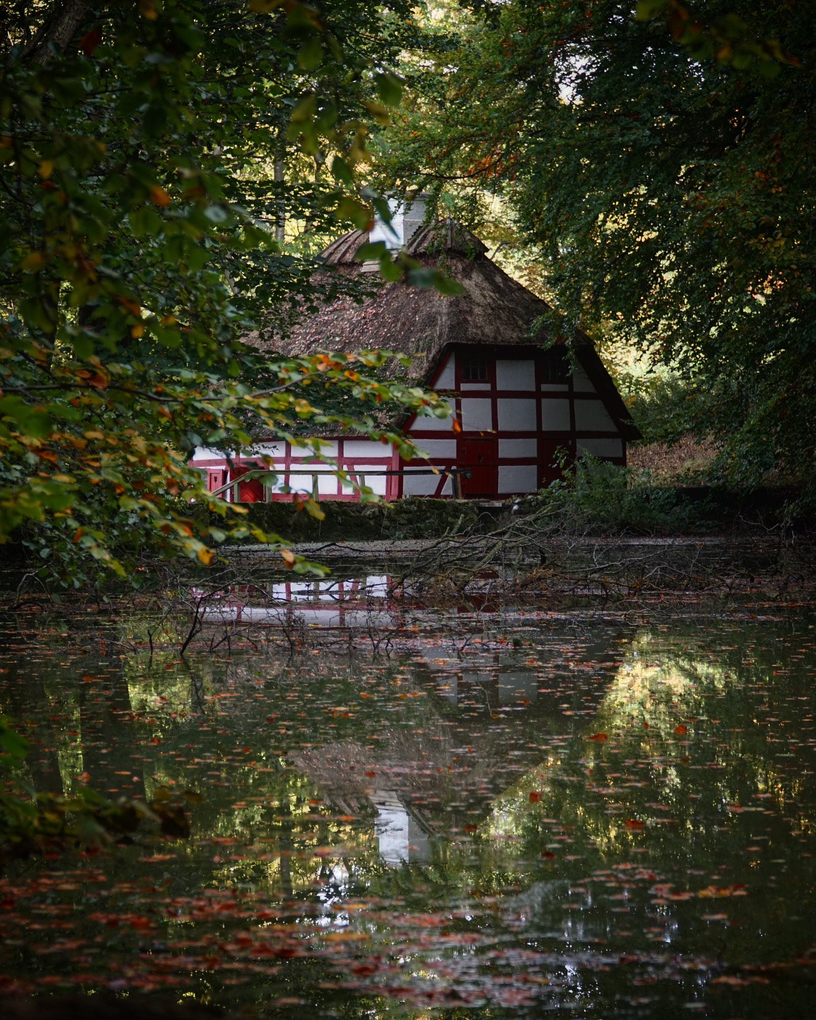 Sony E PZ 18-105mm F4 G OSS sample photo