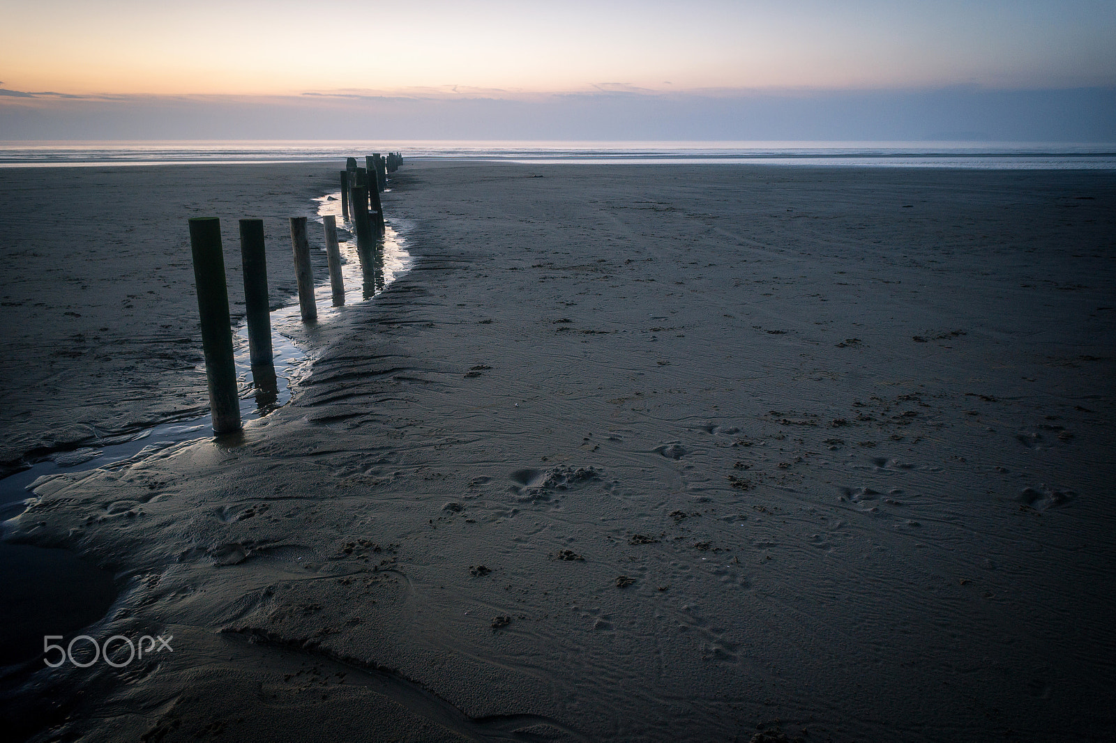 Sony Alpha NEX-5 + Sony E 16mm F2.8 sample photo. Lead you to the water photography