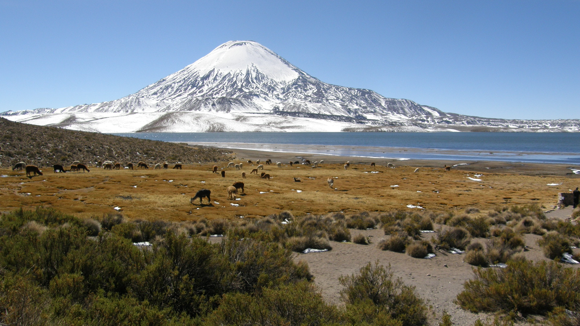 Olympus SP550UZ sample photo. Parinacota photography