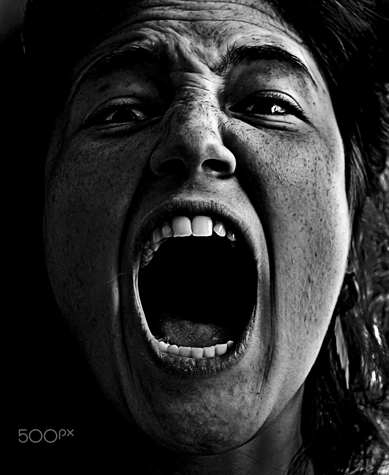 Nikon D3200 sample photo. "howl" serie photography