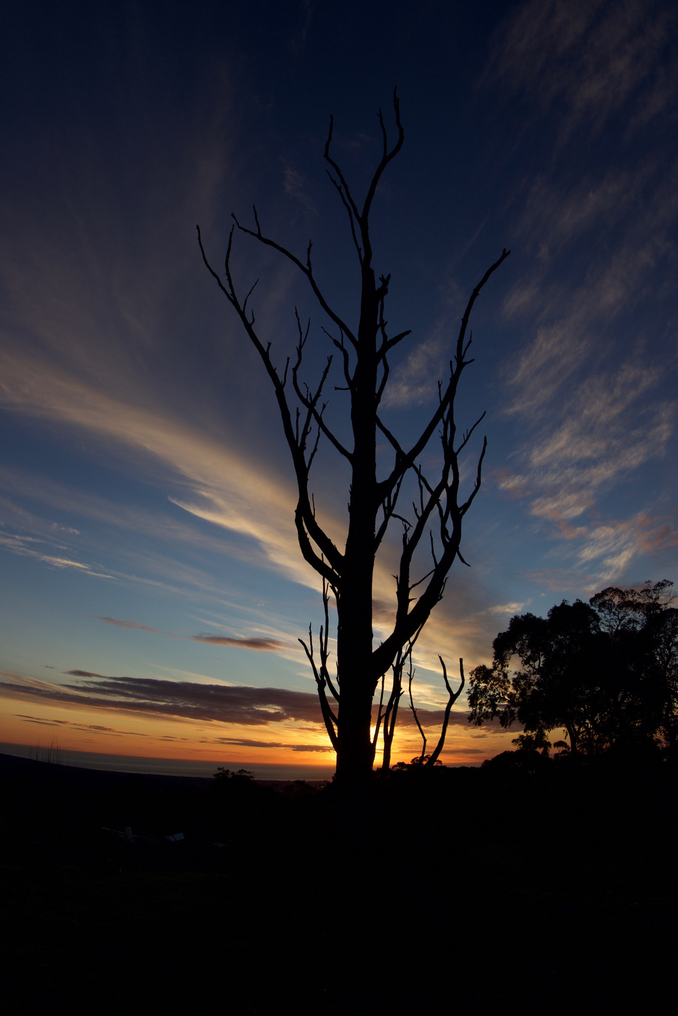 Canon EOS 80D + Canon EF 8-15mm F4L Fisheye USM sample photo. Mt lofty photography