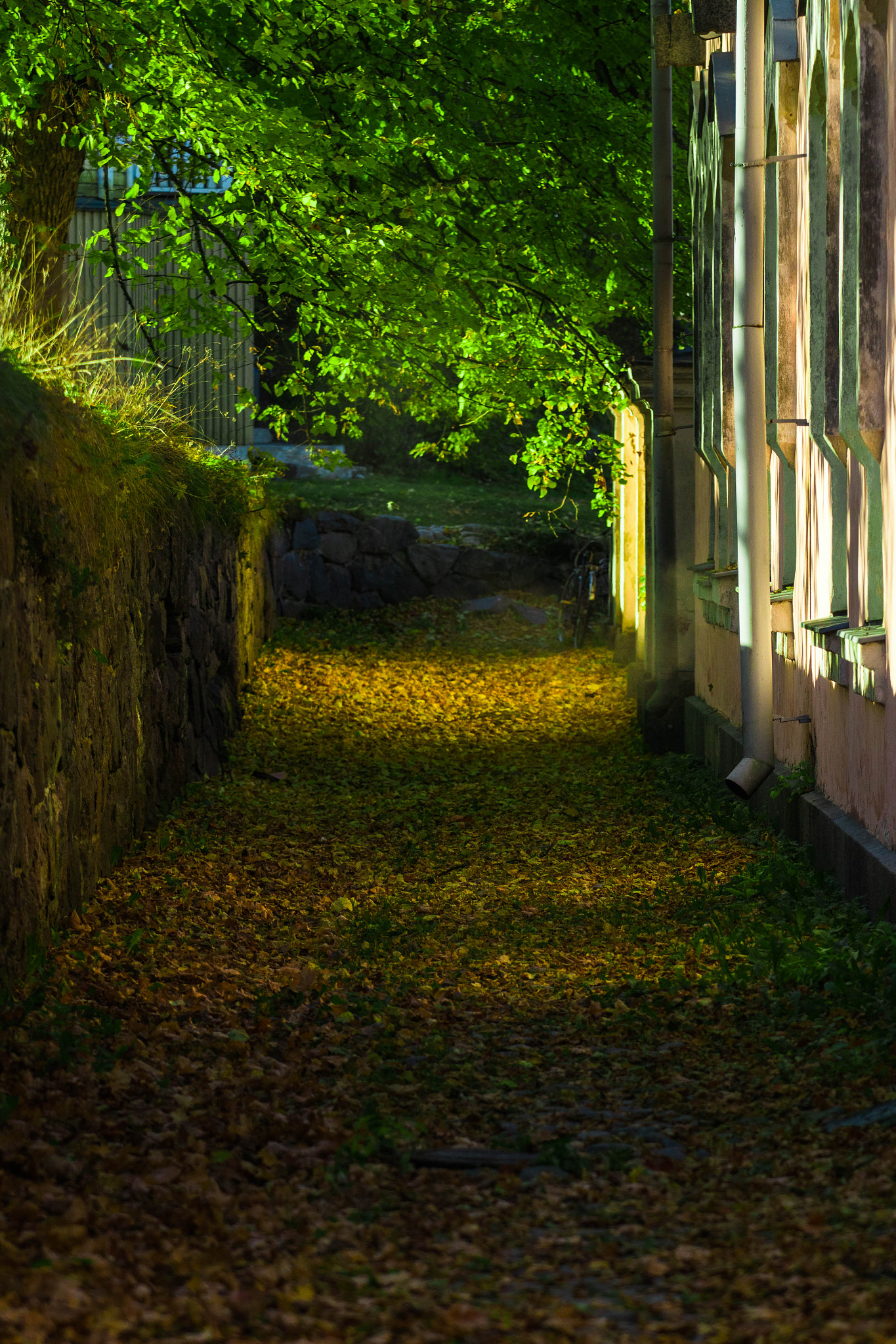 Canon EOS 80D + Canon EF 70-200mm F4L USM sample photo. Suomenlinna leafs alley photography