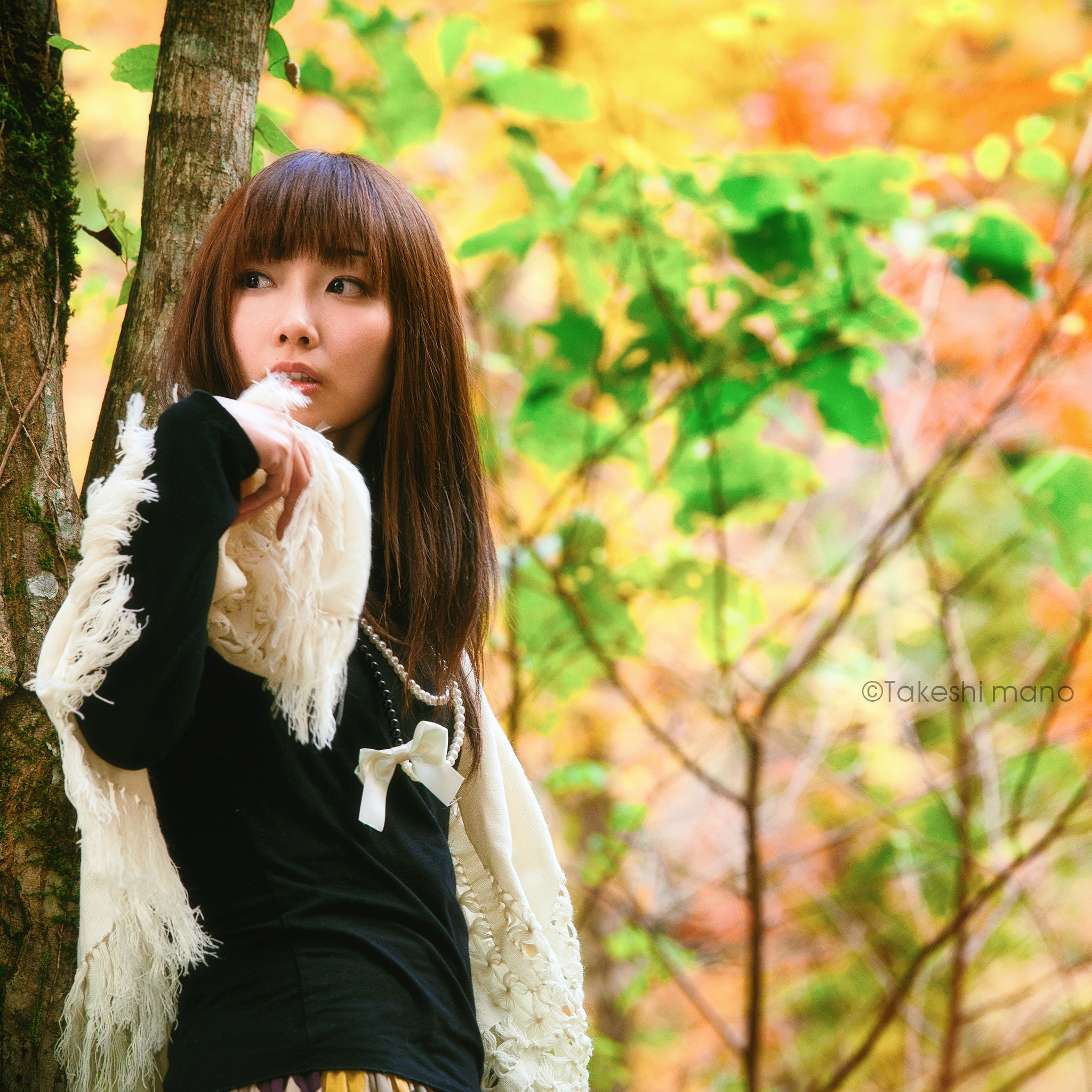 Nikon D3 sample photo. Autumn colors photography