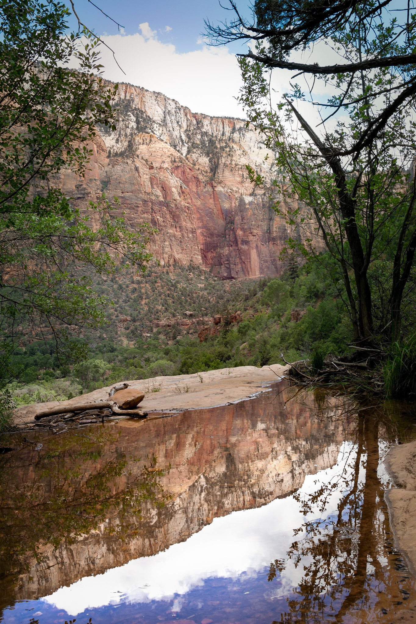 Sigma 24-105mm f/4 DG OS HSM | A sample photo. Reflections at zion photography