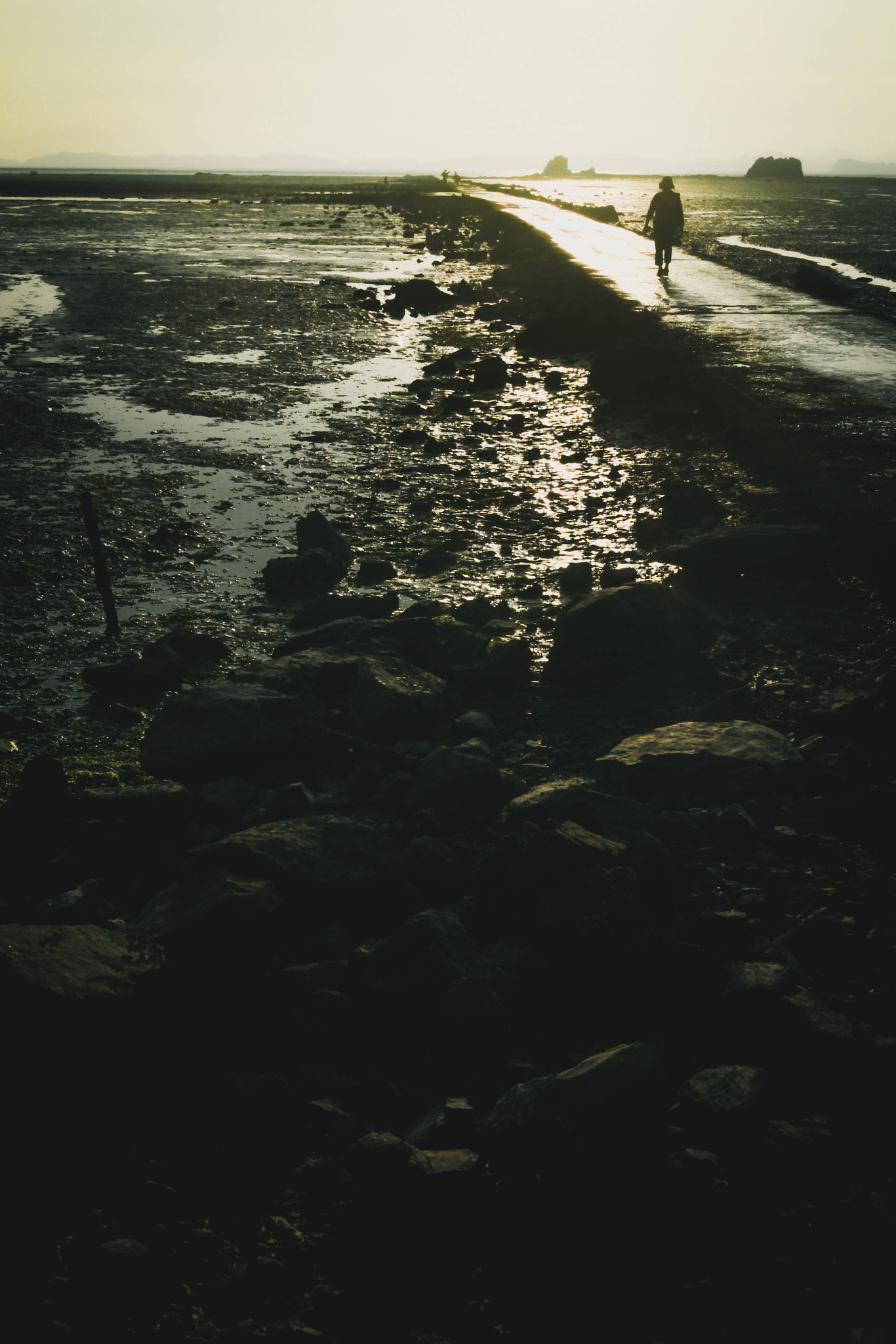 Tokina AT-X 12-28mm F4 Pro DX sample photo. Road photography