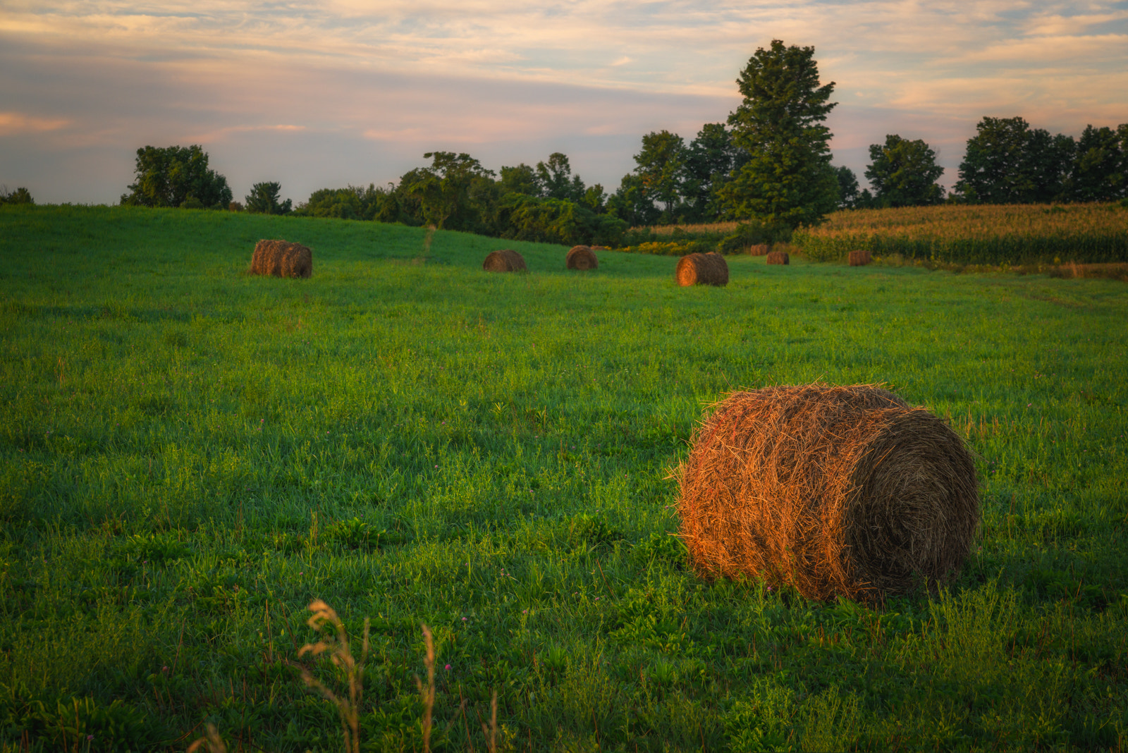 Nikon D800 + Tamron AF 28-75mm F2.8 XR Di LD Aspherical (IF) sample photo. Hay bale sunrise in ny photography