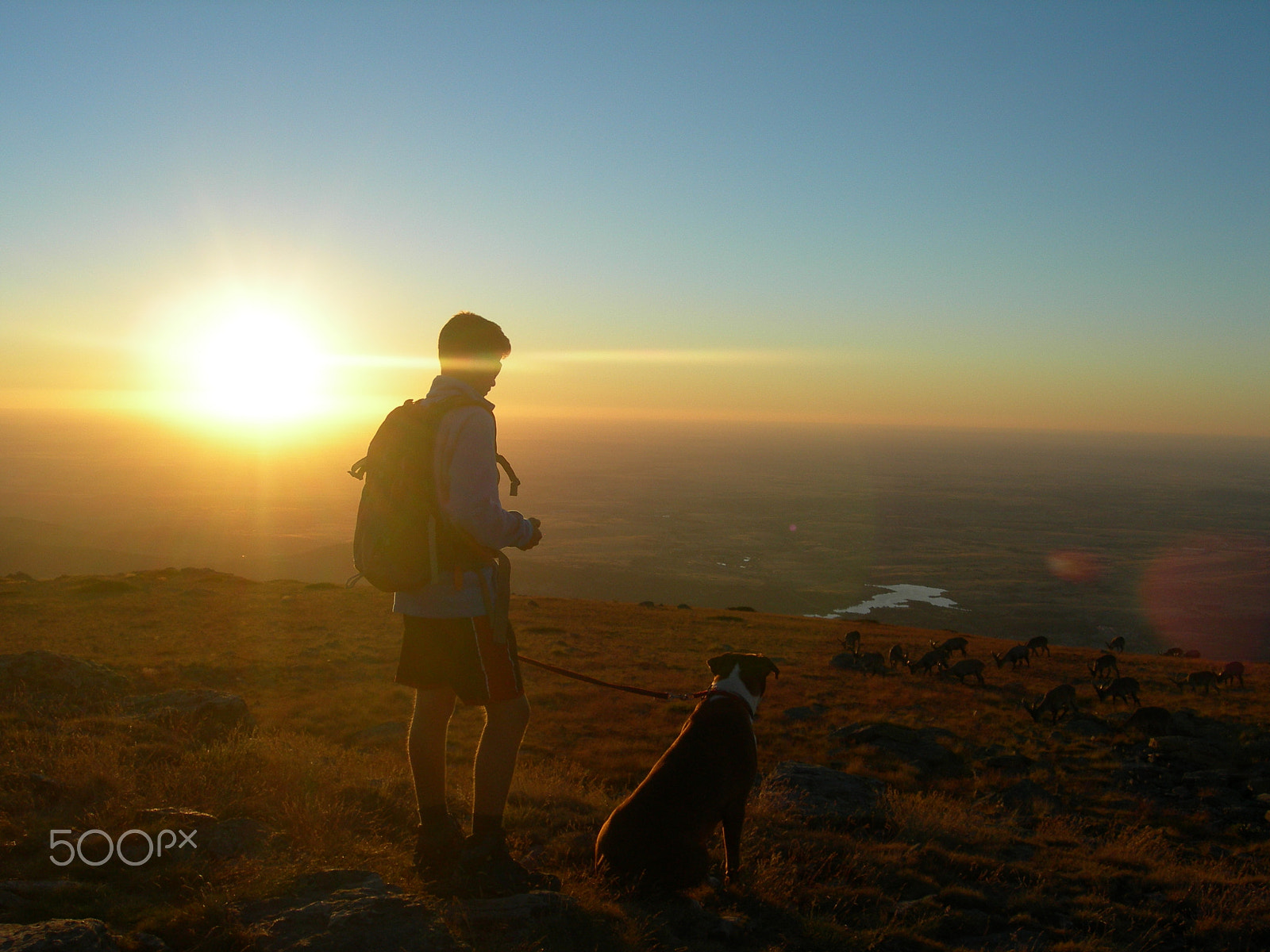 Nikon E7600 sample photo. My brother and boxi in a beautiful sunset photography
