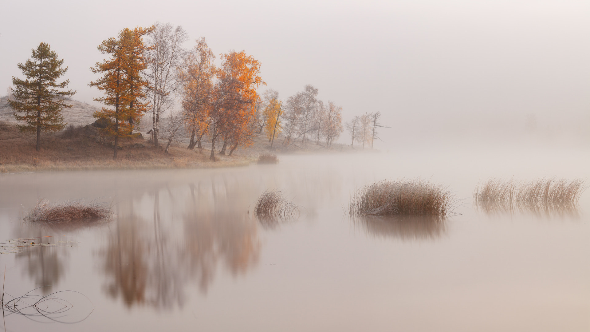Canon EF 100-400mm F4.5-5.6L IS USM sample photo. Frosty calm photography