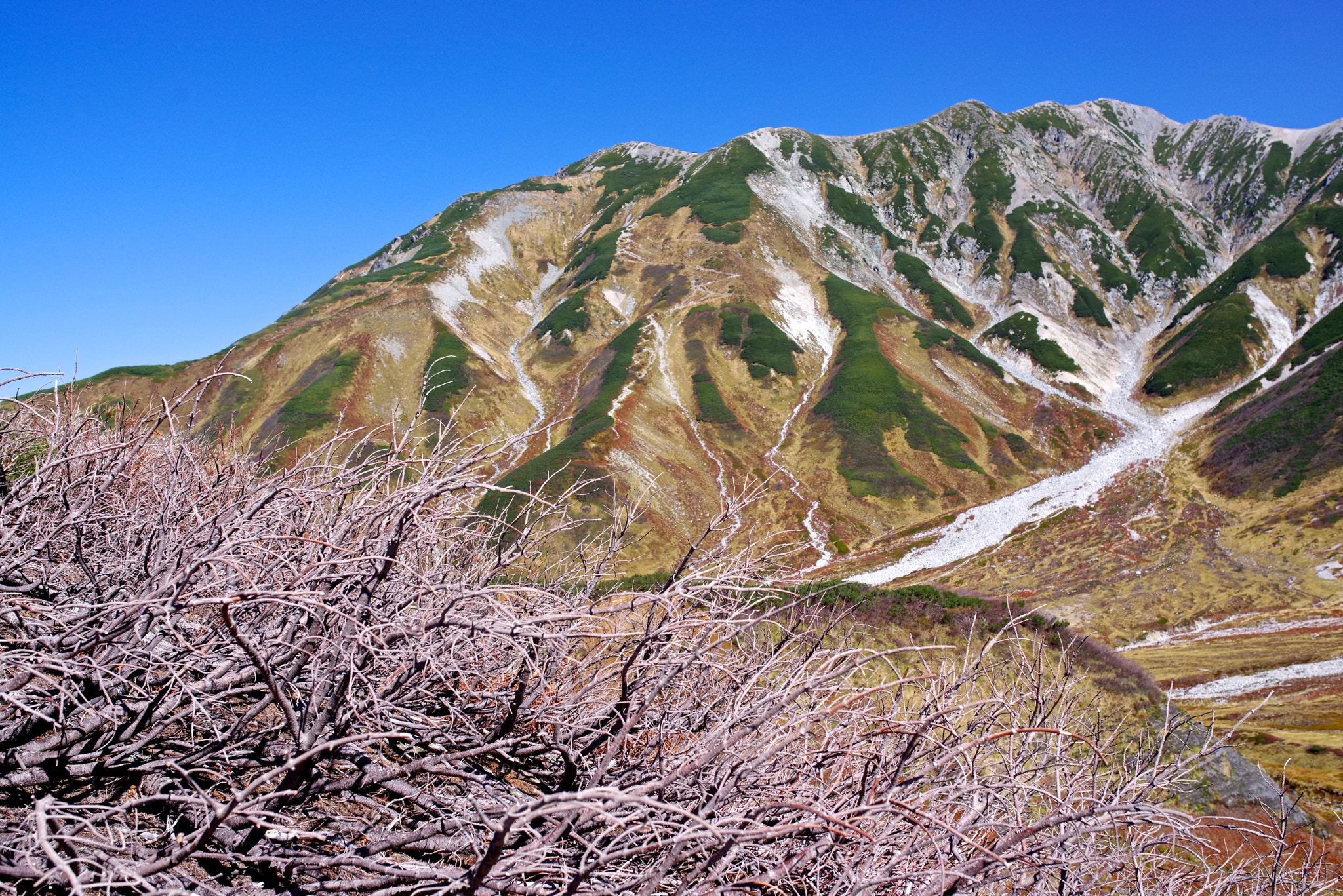 Pentax K-1 sample photo. Death tree by sulfur gas photography