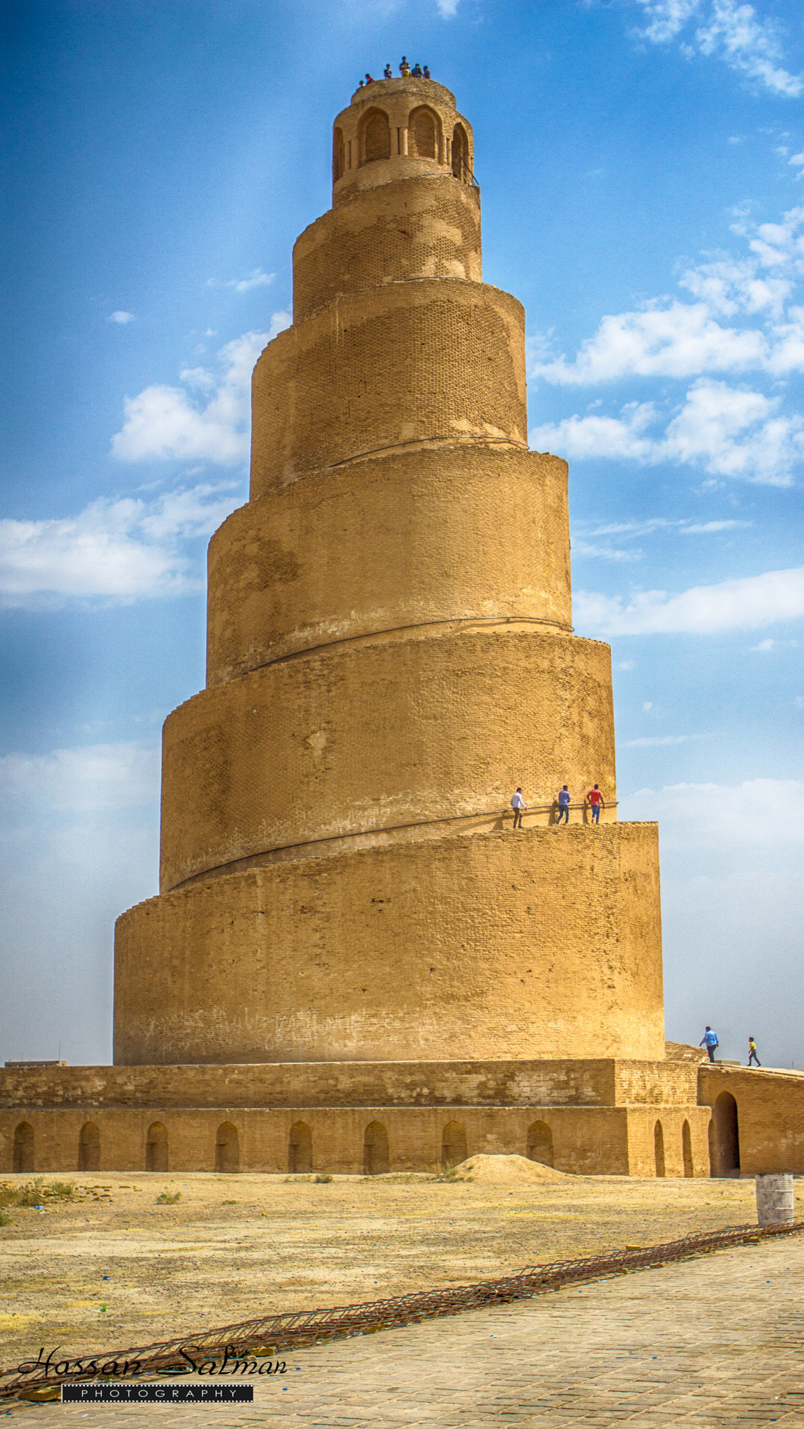 Tamron 18-270mm F3.5-6.3 Di II PZD sample photo. Helicobacter photography