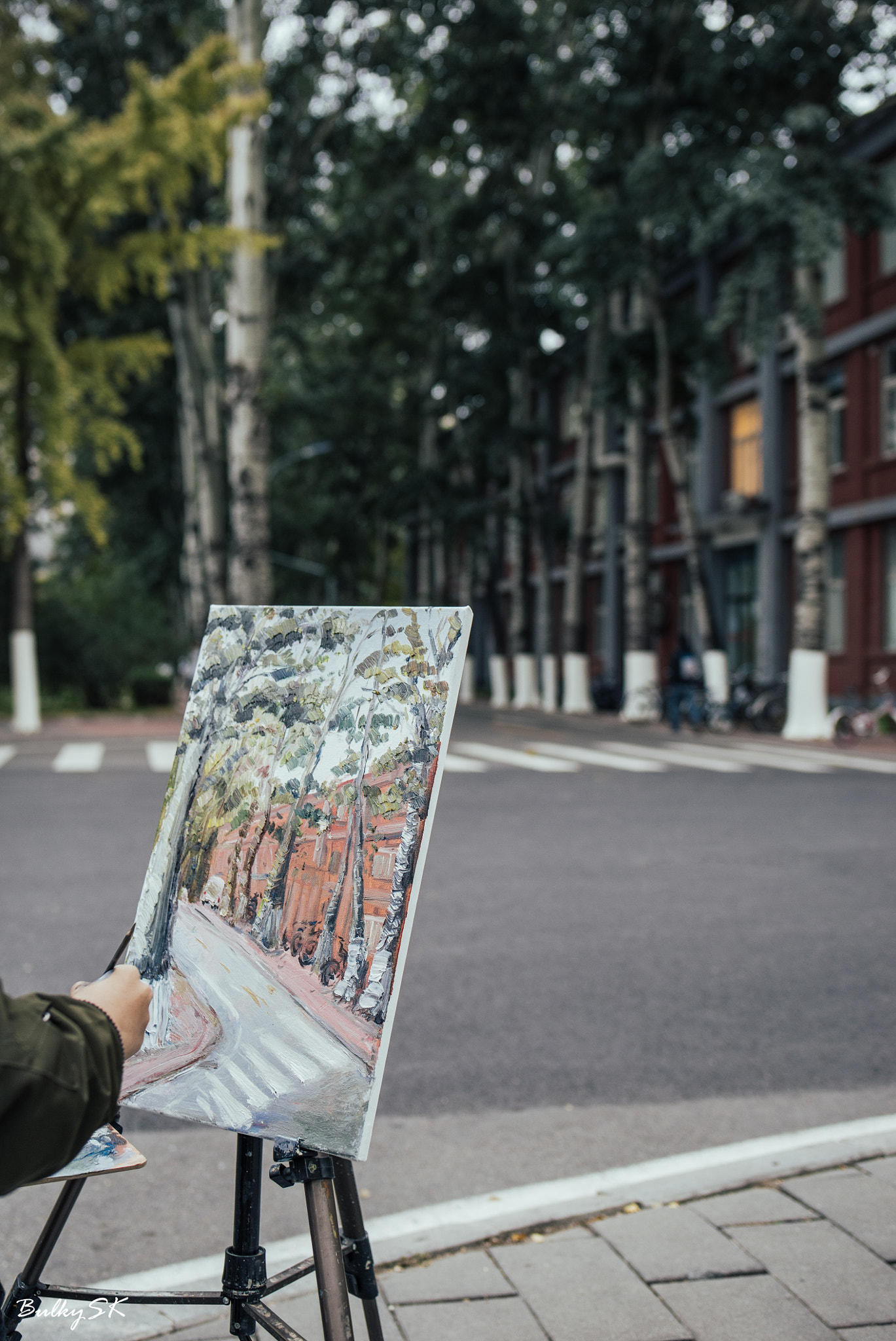 Nikon D610 + Tamron SP 35mm F1.8 Di VC USD sample photo. Crossroad painting photography