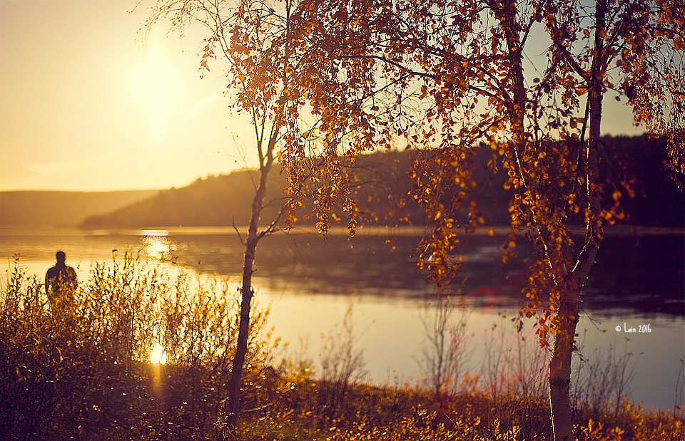 Canon EF 50mm F1.4 USM sample photo. Autumn sunset photography