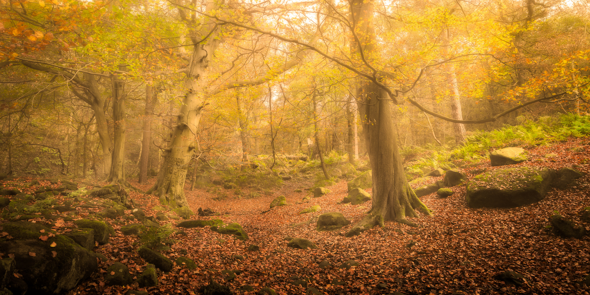 Tamron 18-270mm F3.5-6.3 Di II PZD sample photo. Padley gorge photography