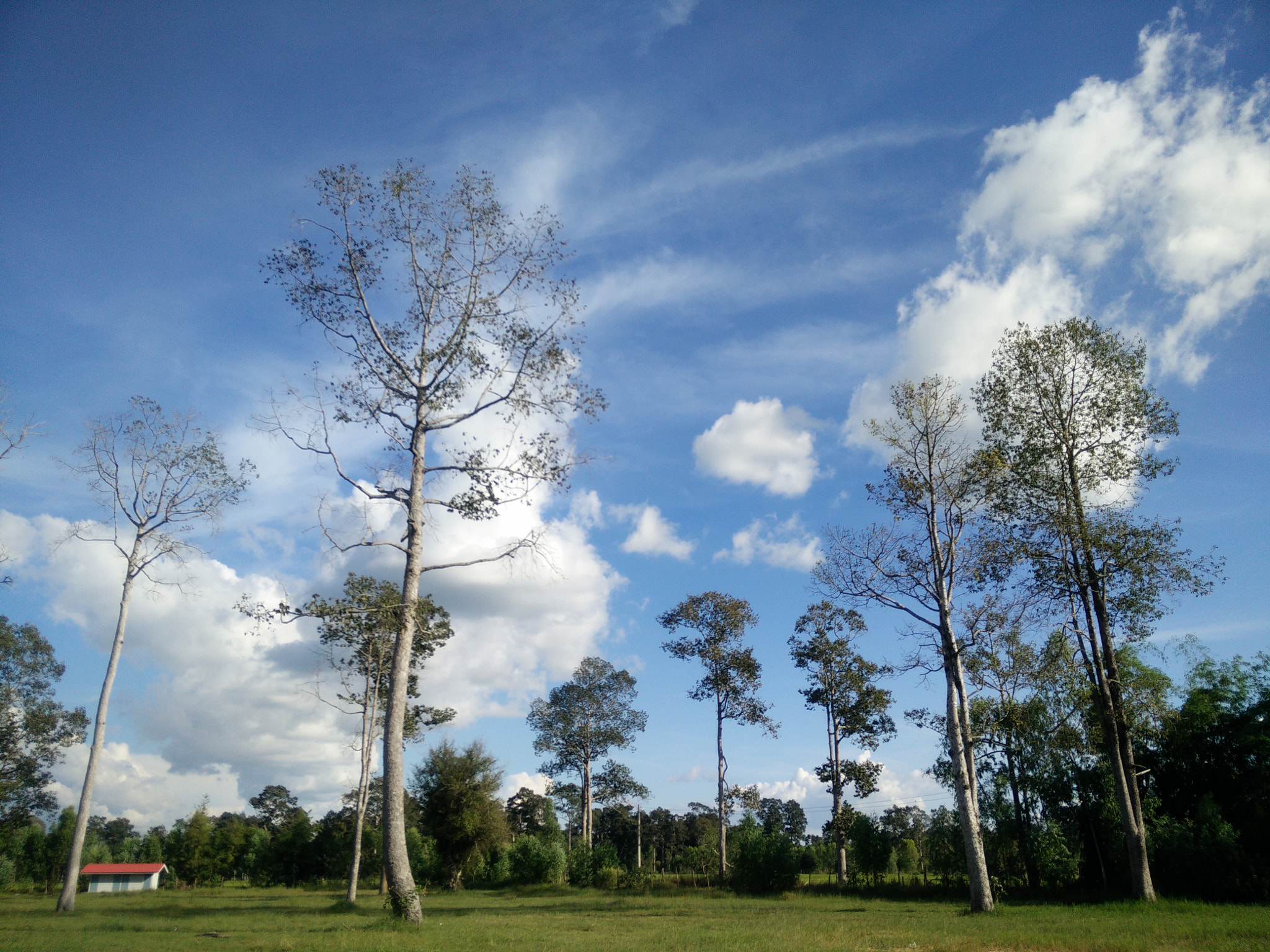 OPPO Find7 sample photo